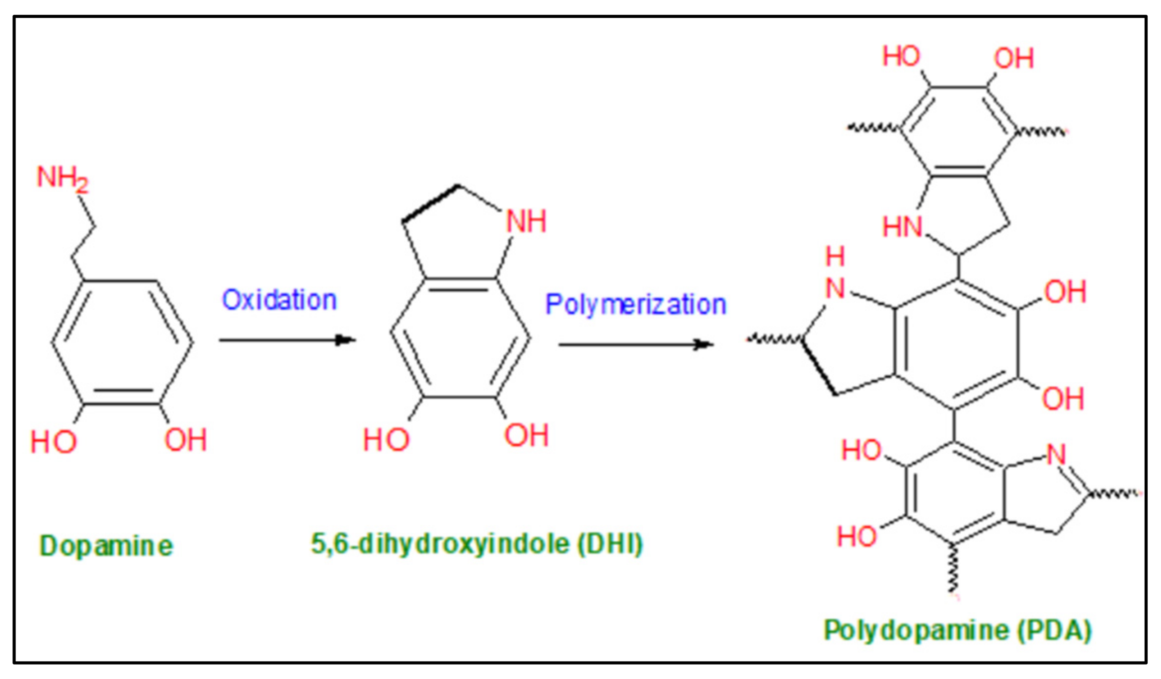 Membranes 12 00675 g001