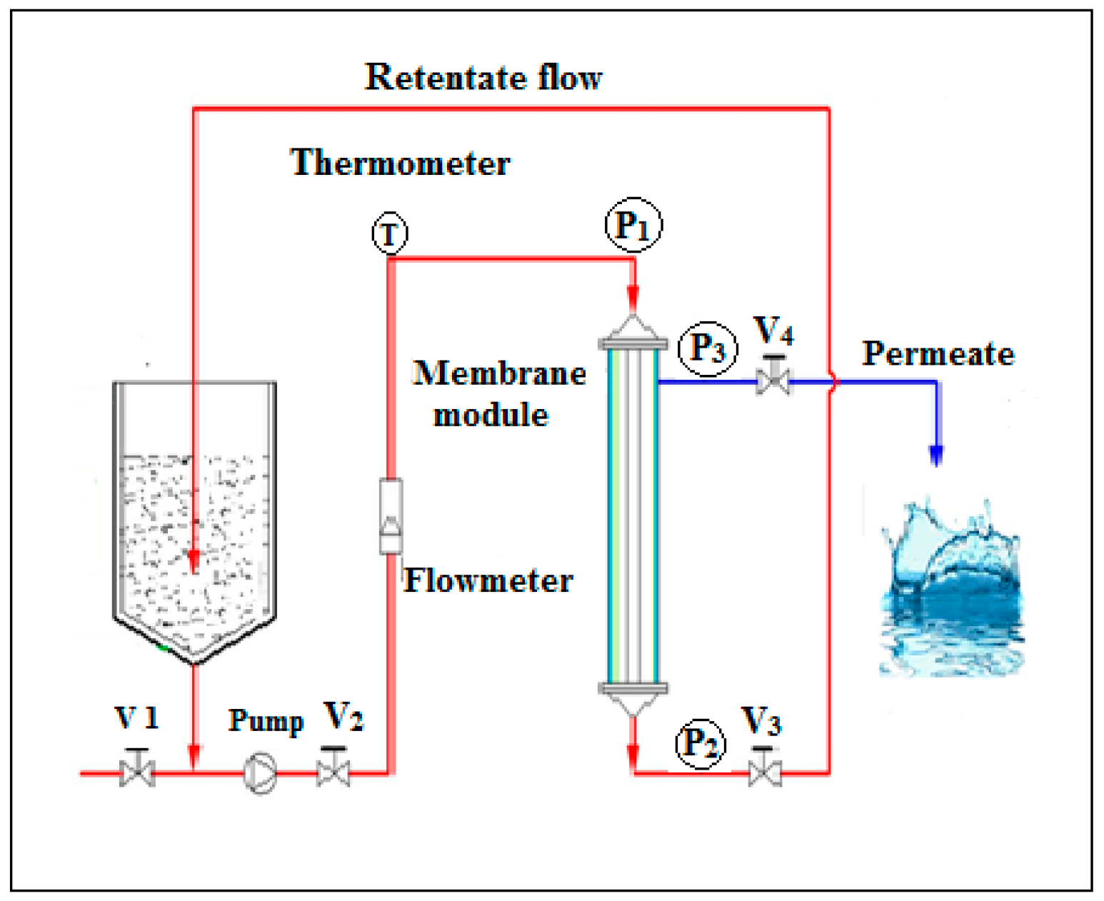 Membranes 12 00676 g001