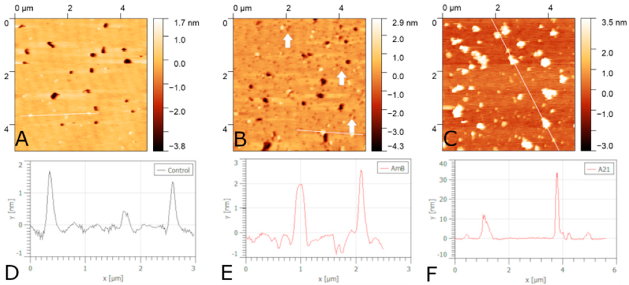 Membranes 12 00681 g014 Membranes 12 00681 g014