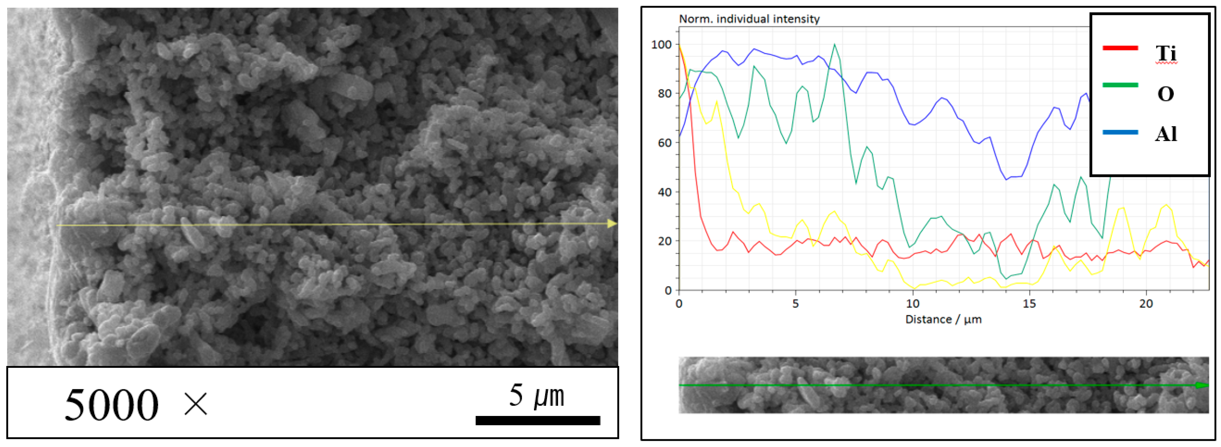 Membranes 12 00693 g007