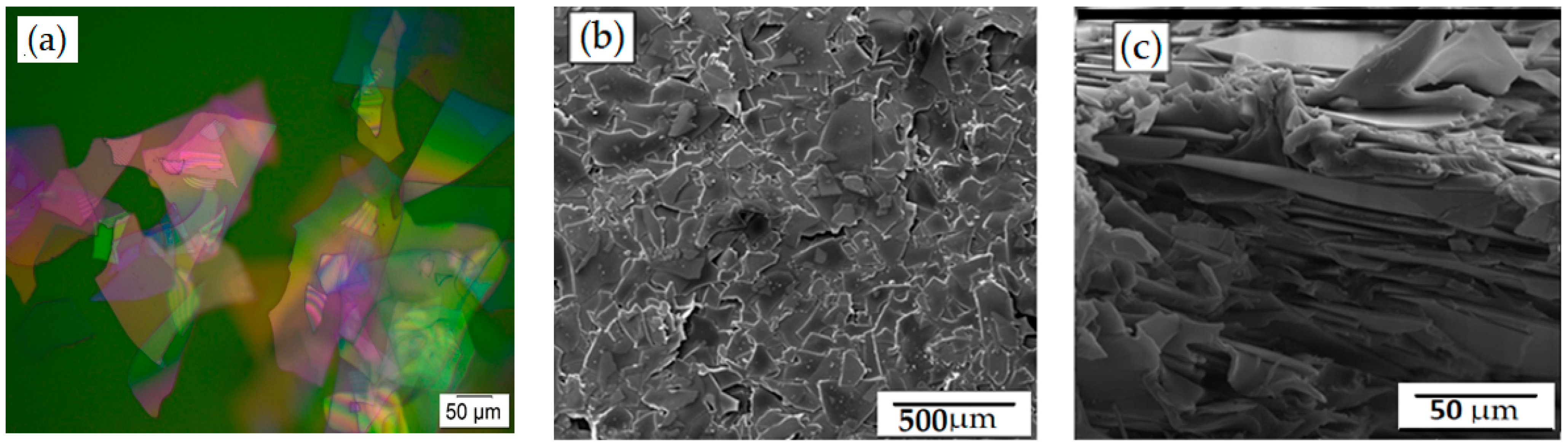 Membranes 12 00701 g001