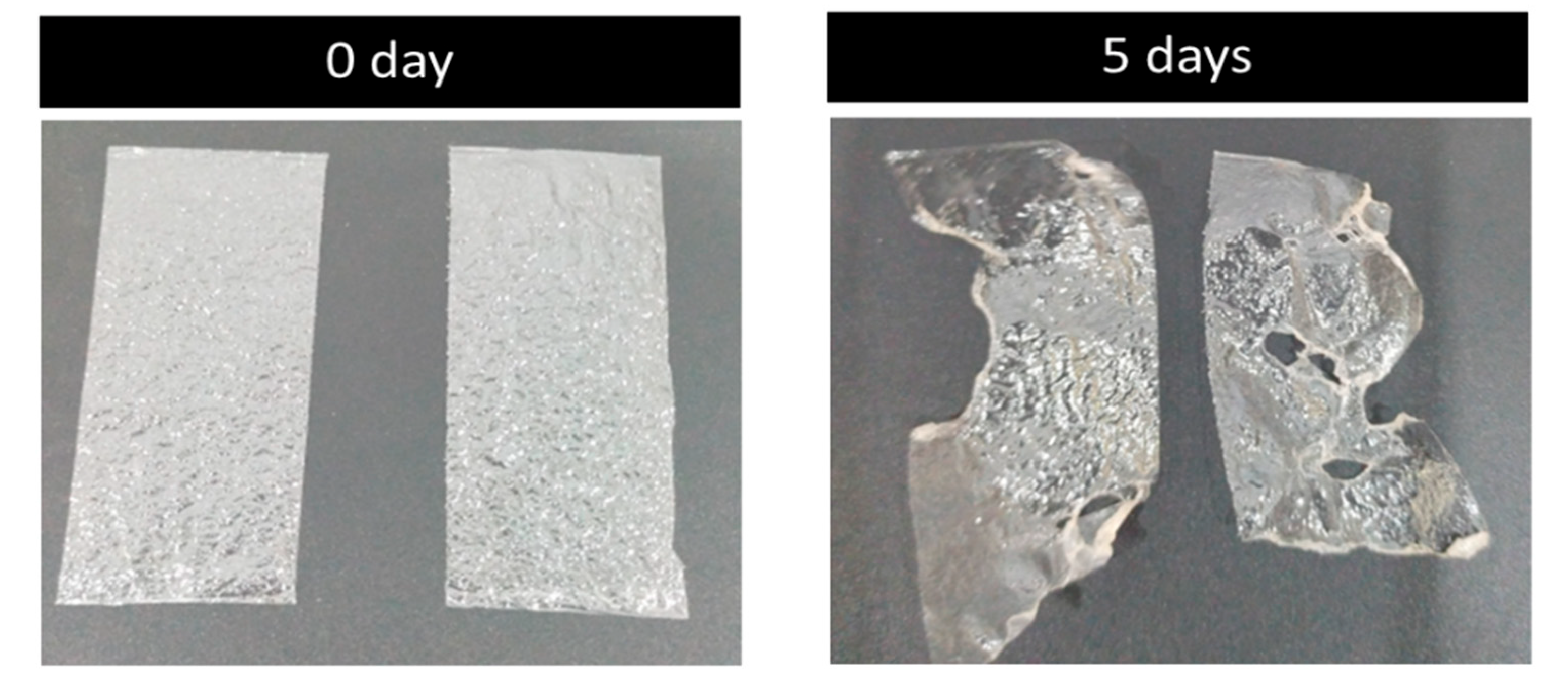 Membranes 12 00701 g009