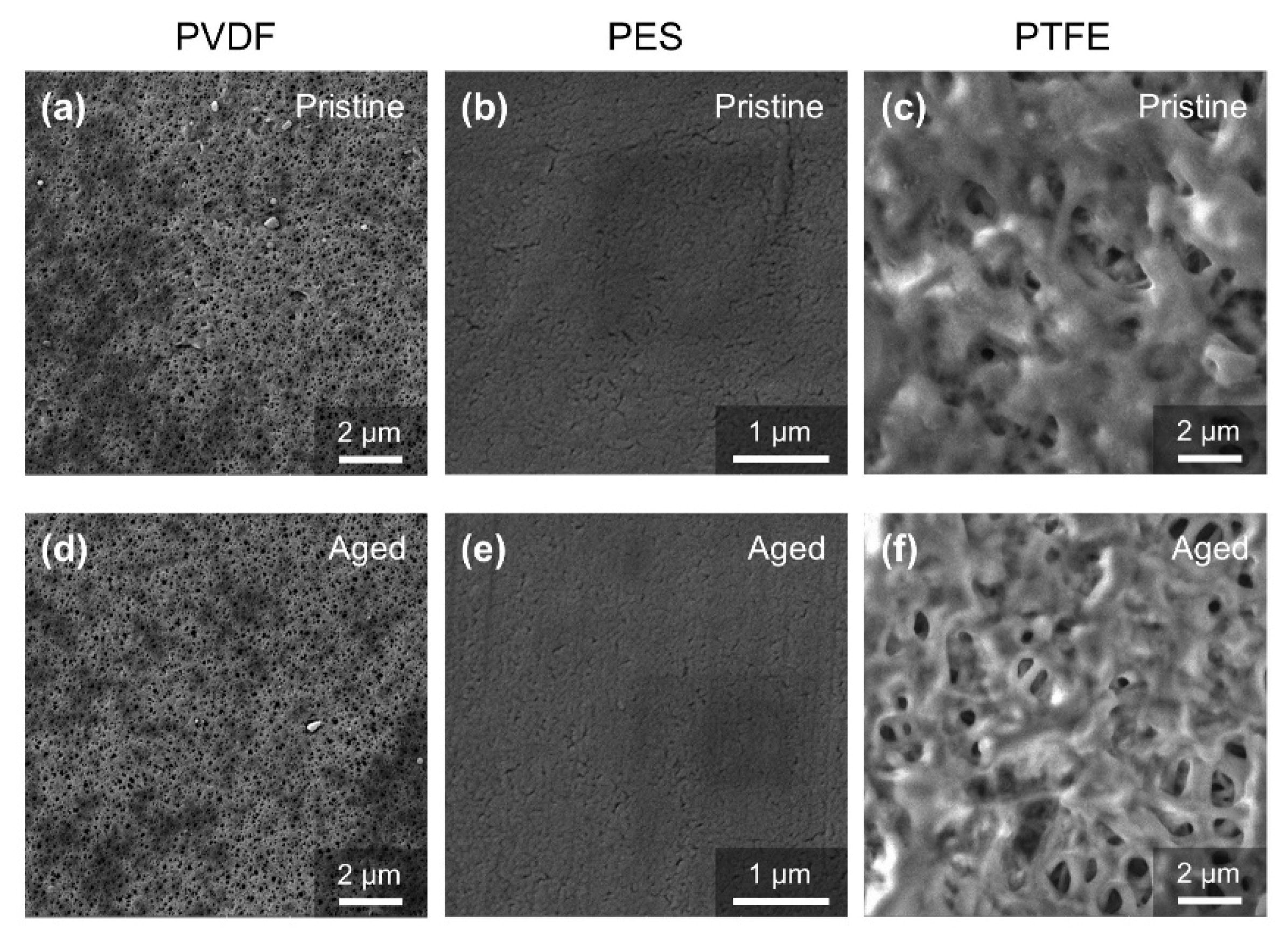 Membranes 12 00704 g003