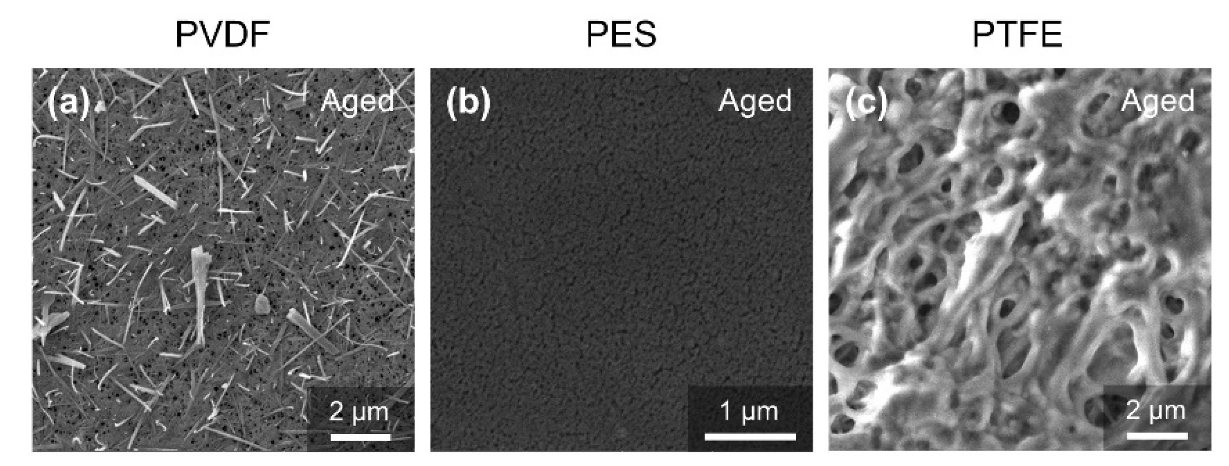 Membranes 12 00704 g006