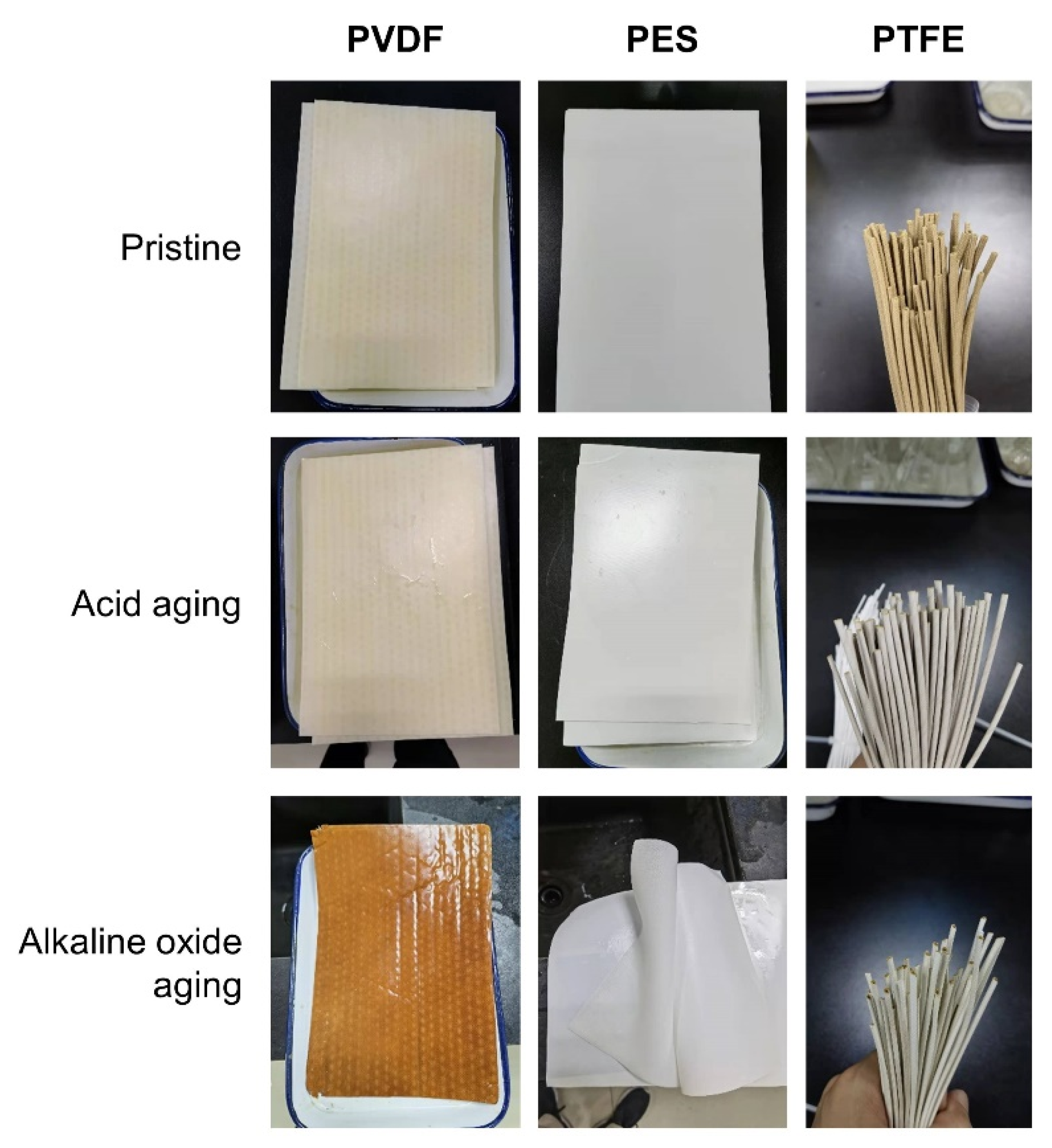 Membranes 12 00704 g007