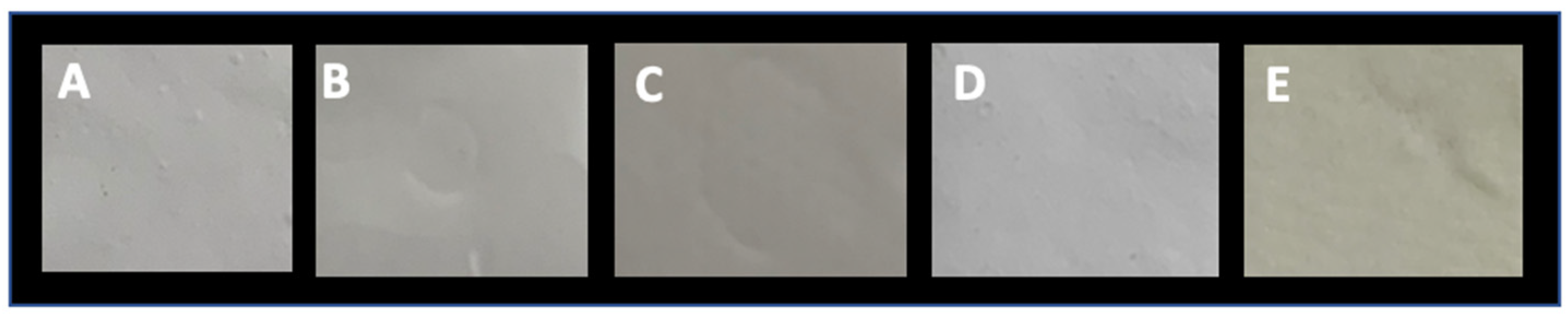 Membranes 12 00711 g002