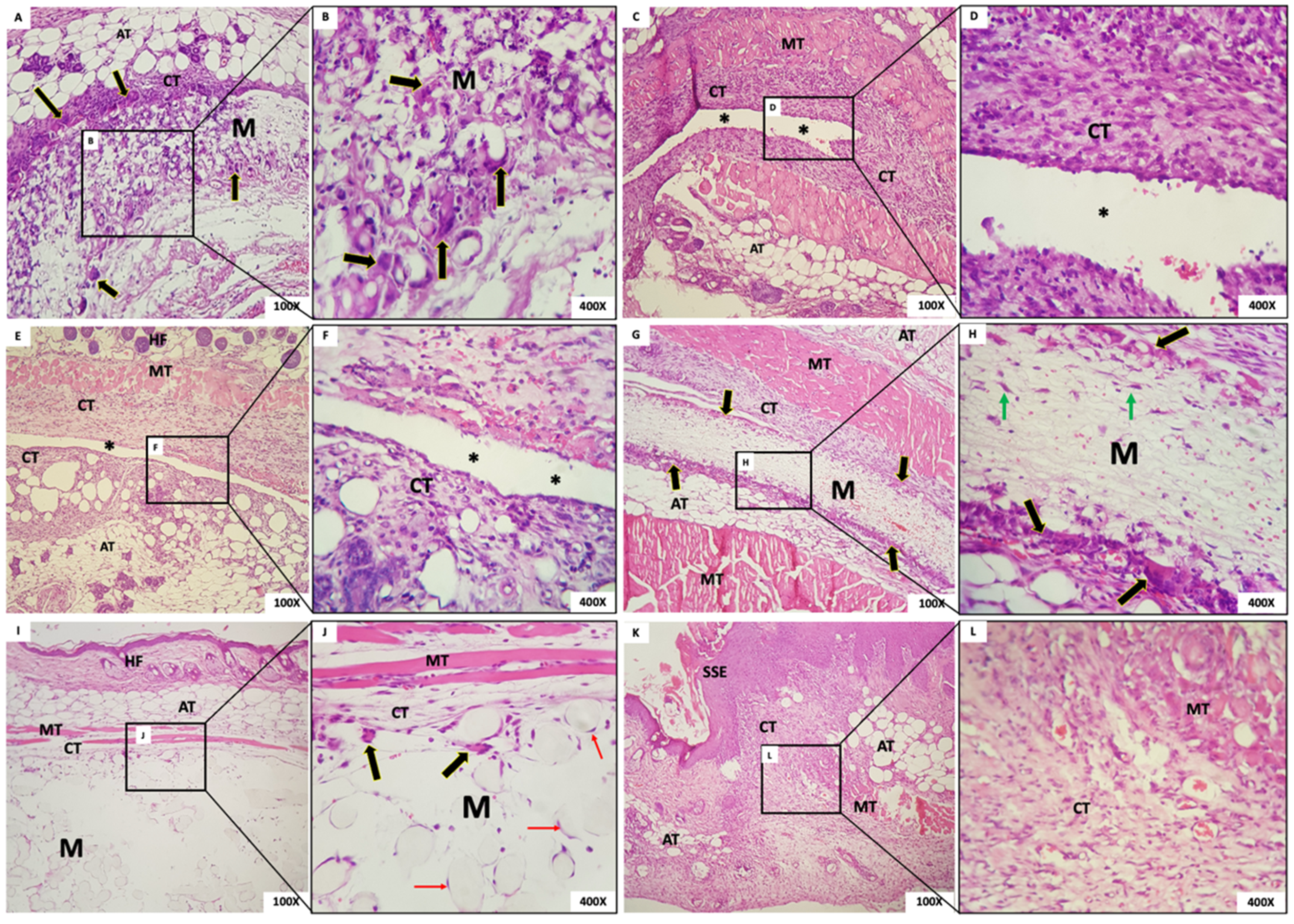 Membranes 12 00711 g006