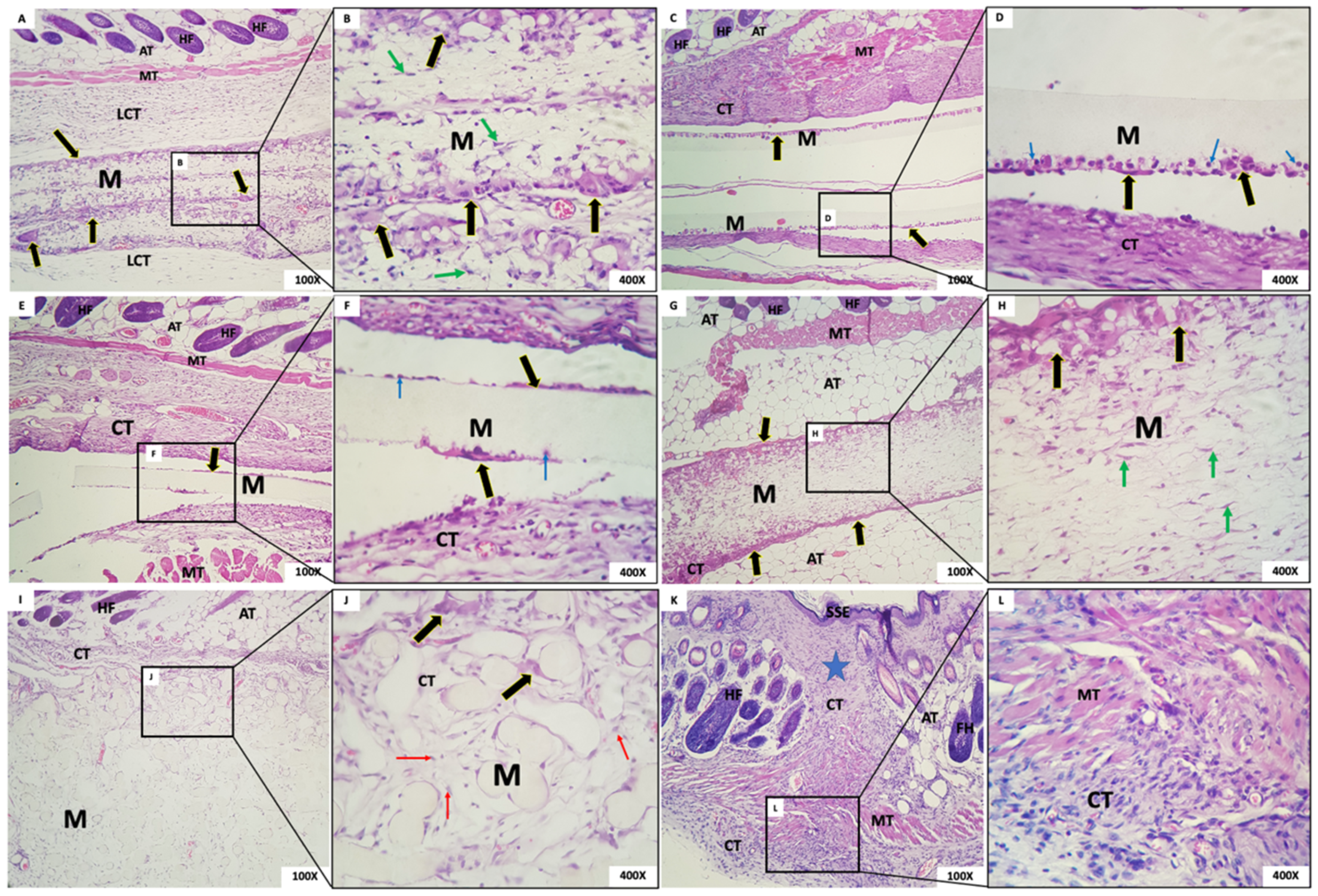 Membranes 12 00711 g007
