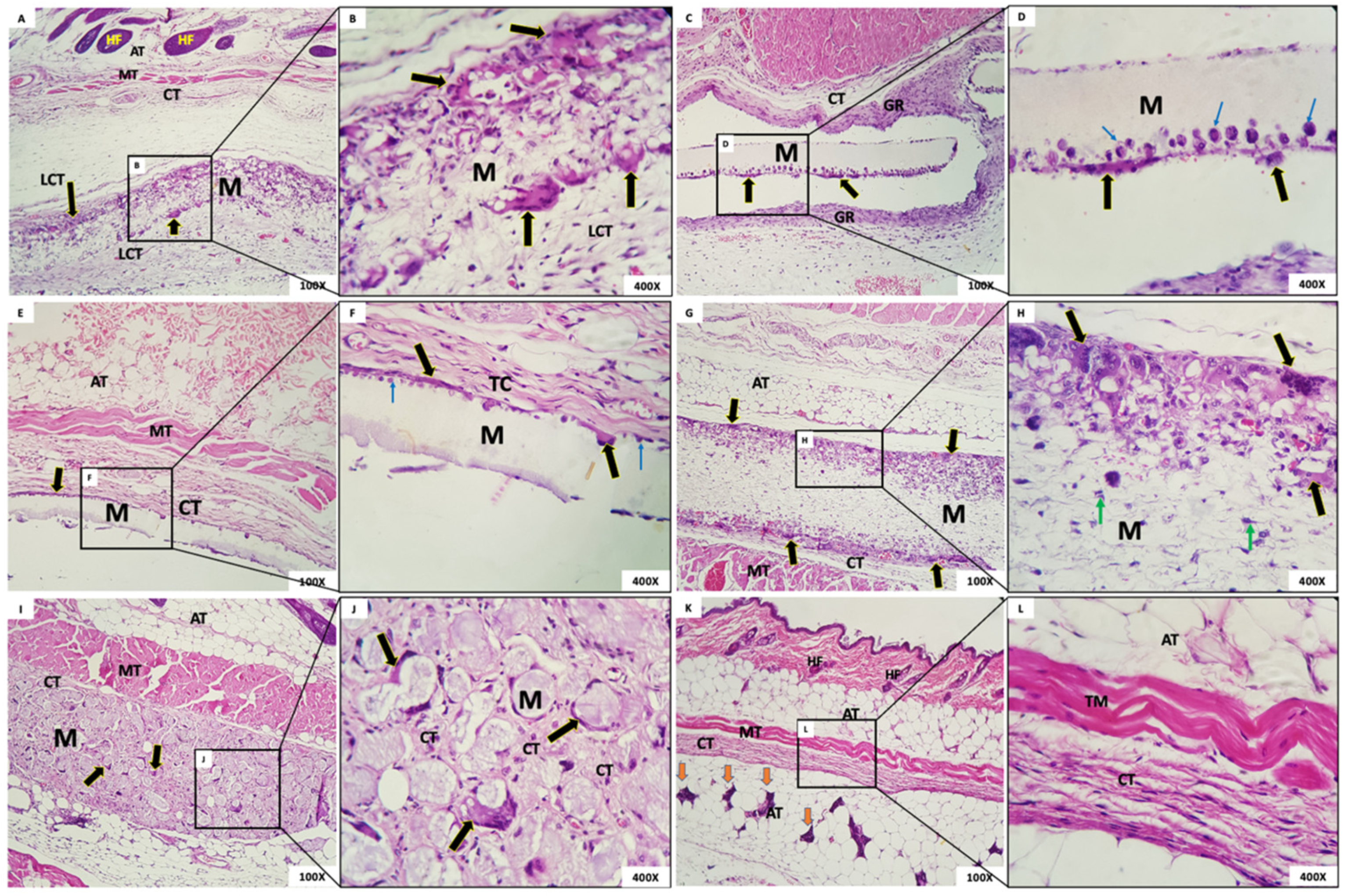 Membranes 12 00711 g008
