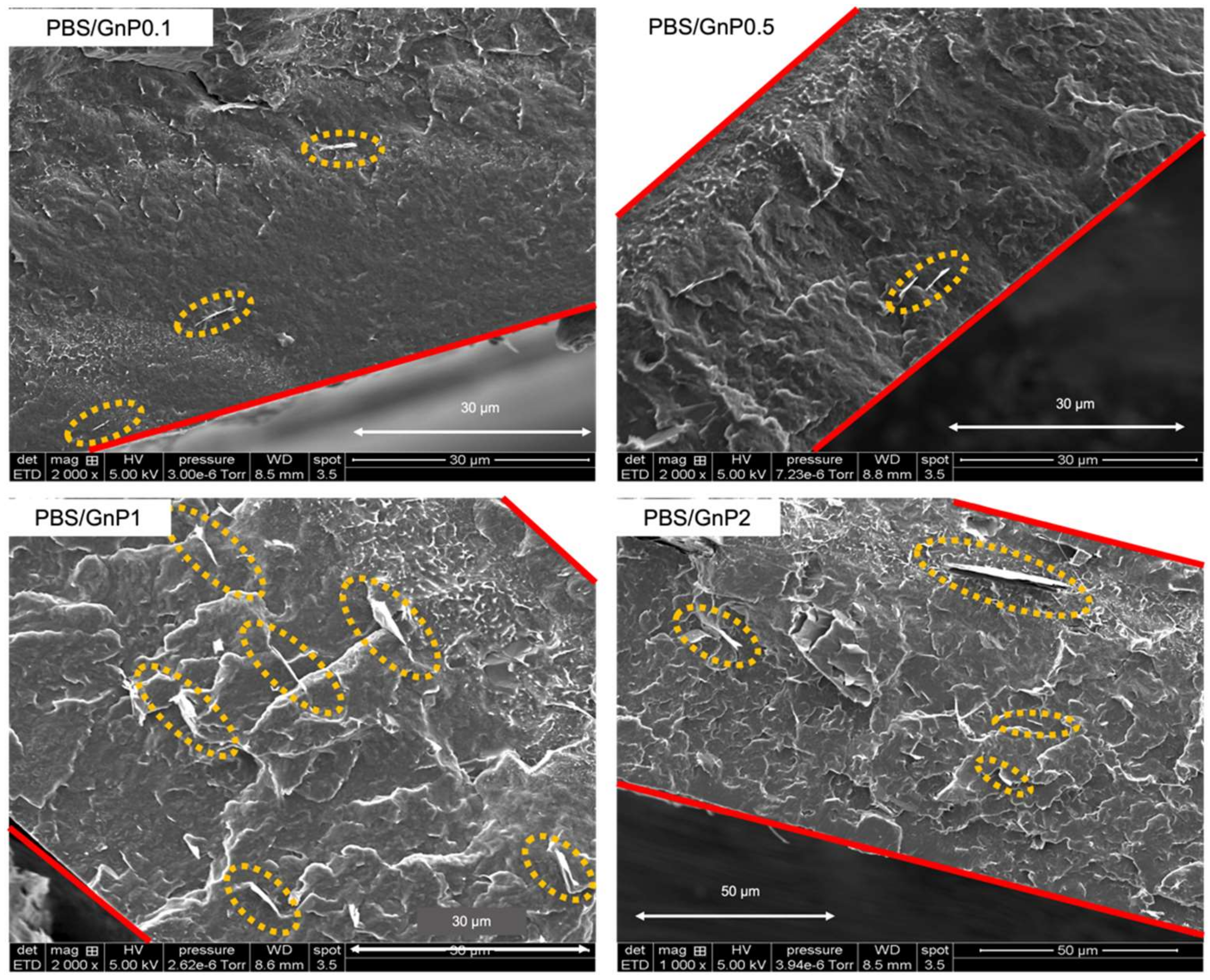 Membranes 12 00721 g002