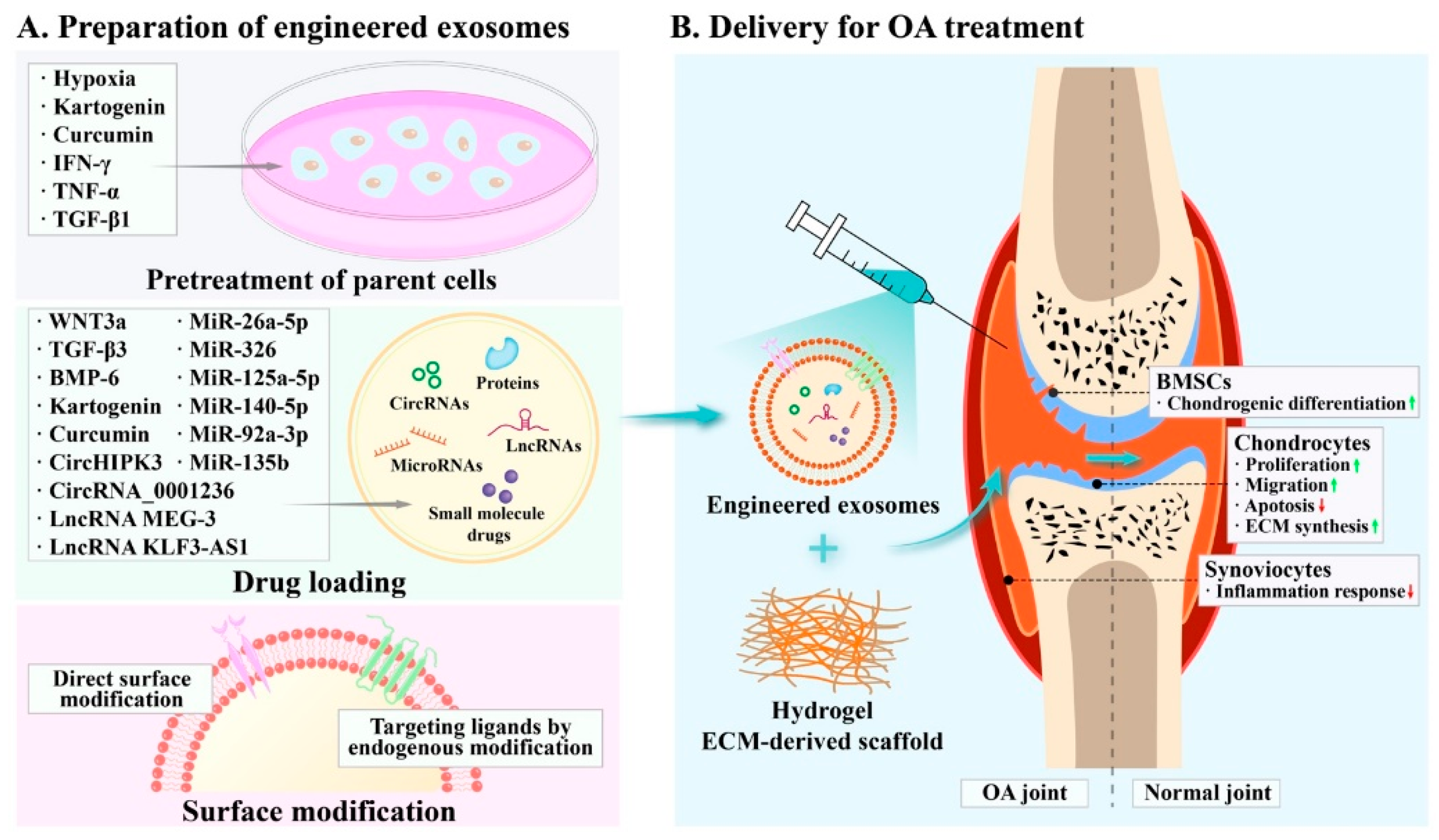 Membranes 12 00739 g003