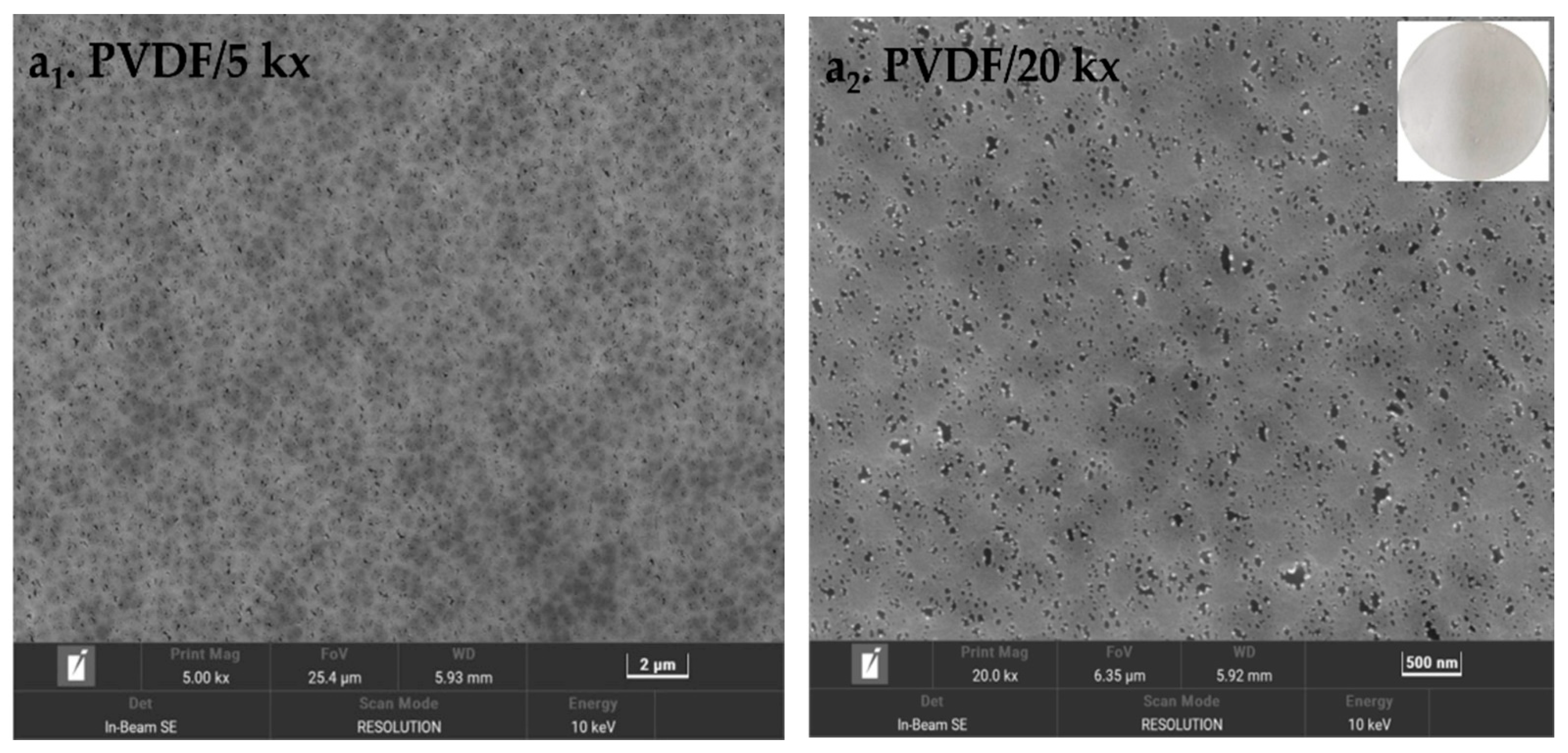 Membranes 12 00740 g002a