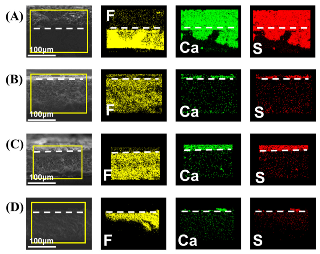 Membranes 12 00743 g005