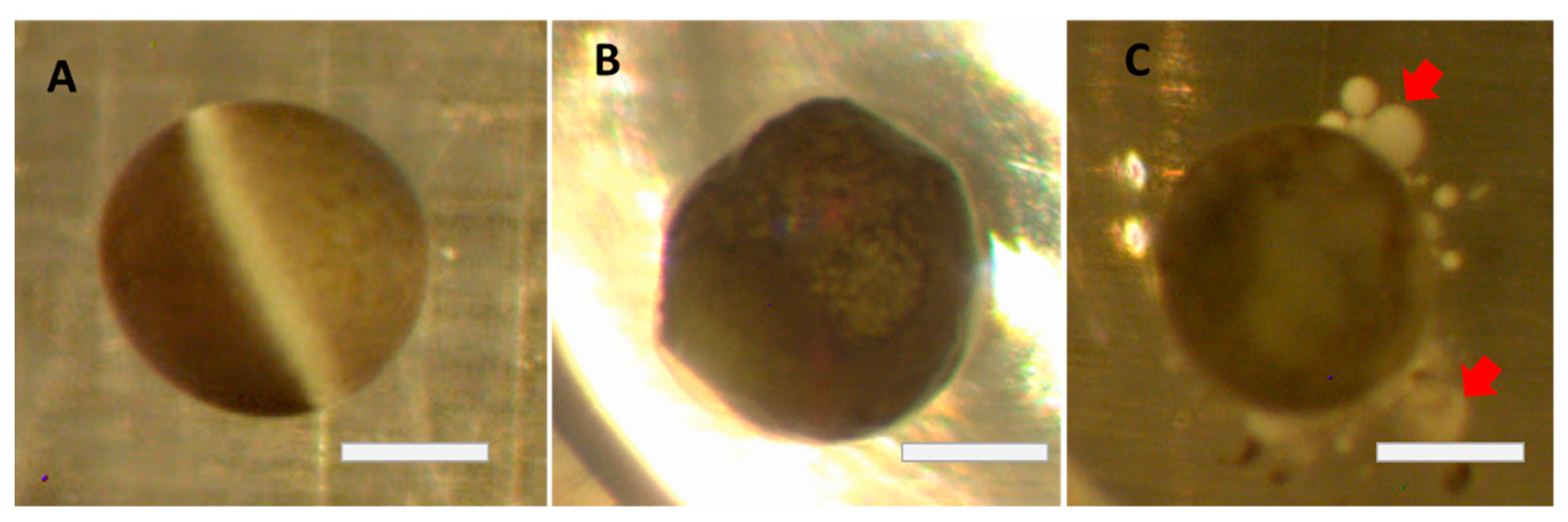 Membranes 12 00754 g001