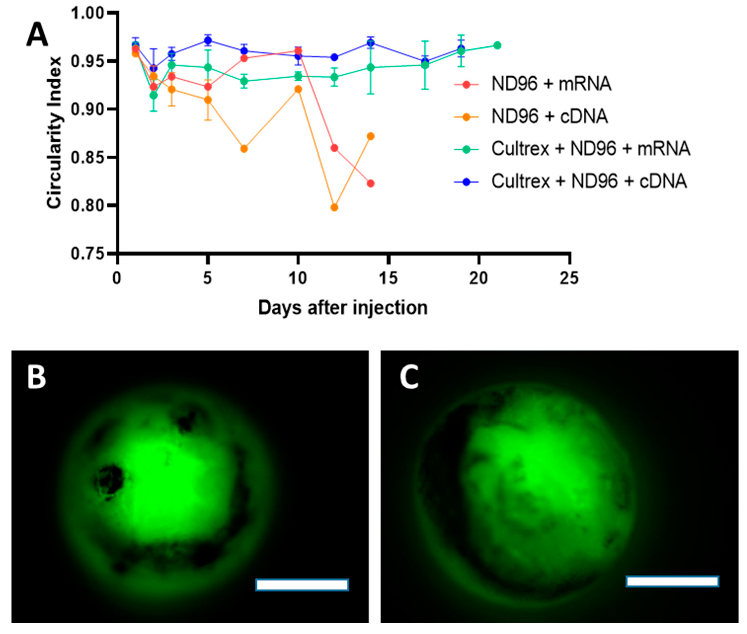 Membranes 12 00754 g003