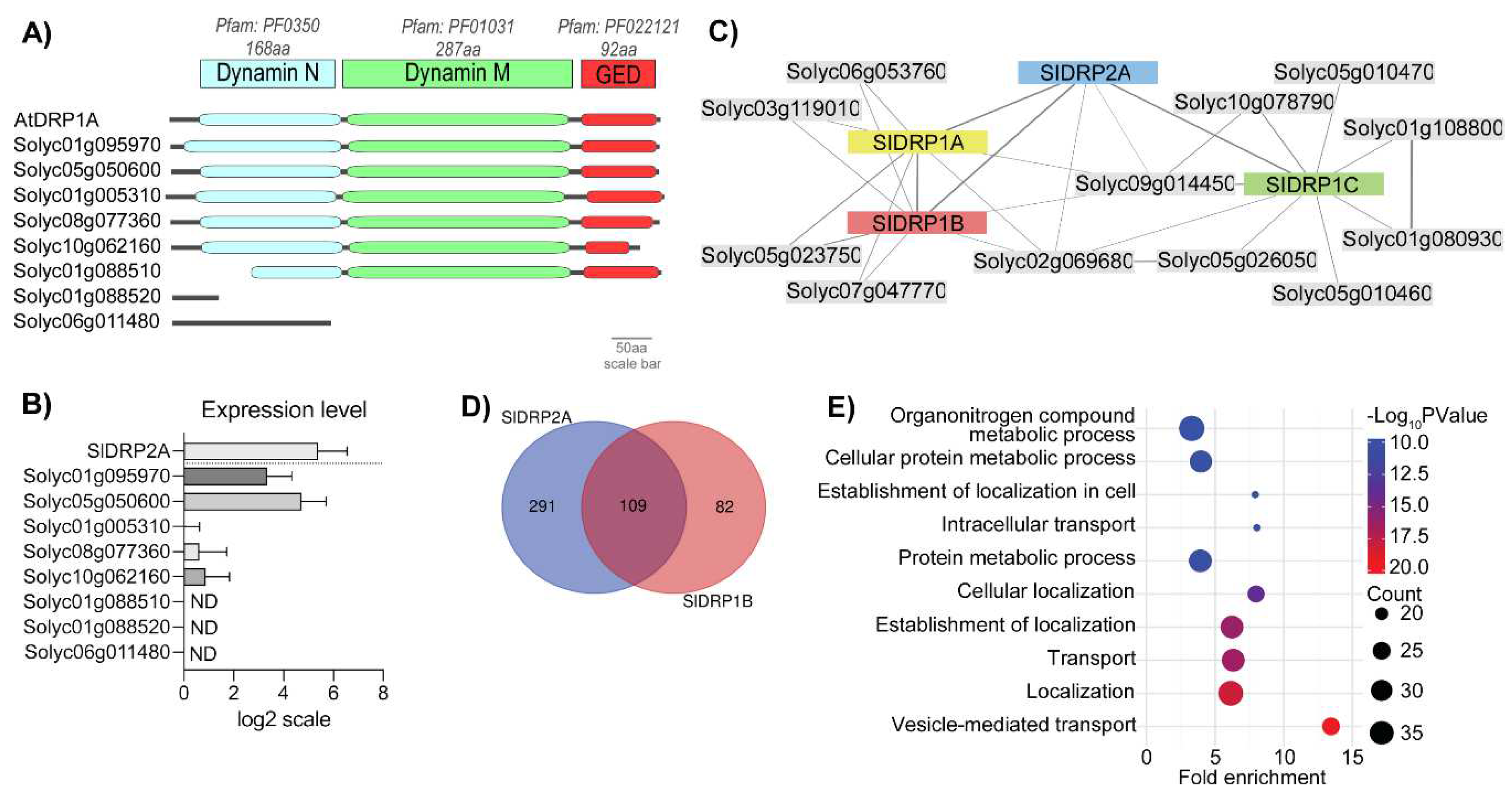 Membranes 12 00760 g001