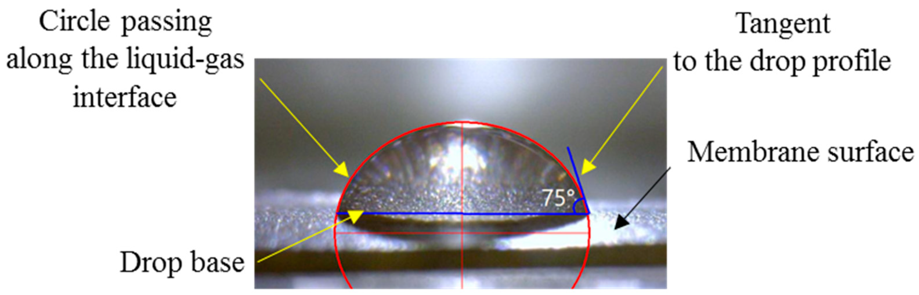 Membranes 12 00765 g006