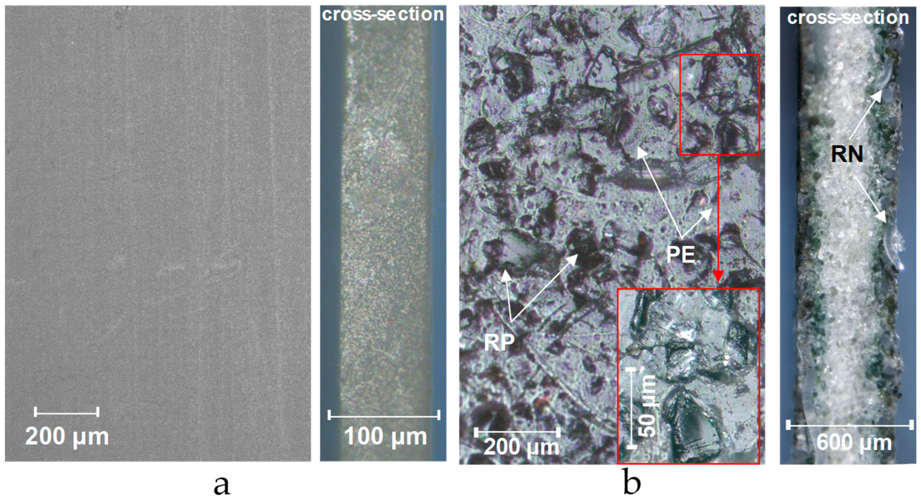 Membranes 12 00765 g009