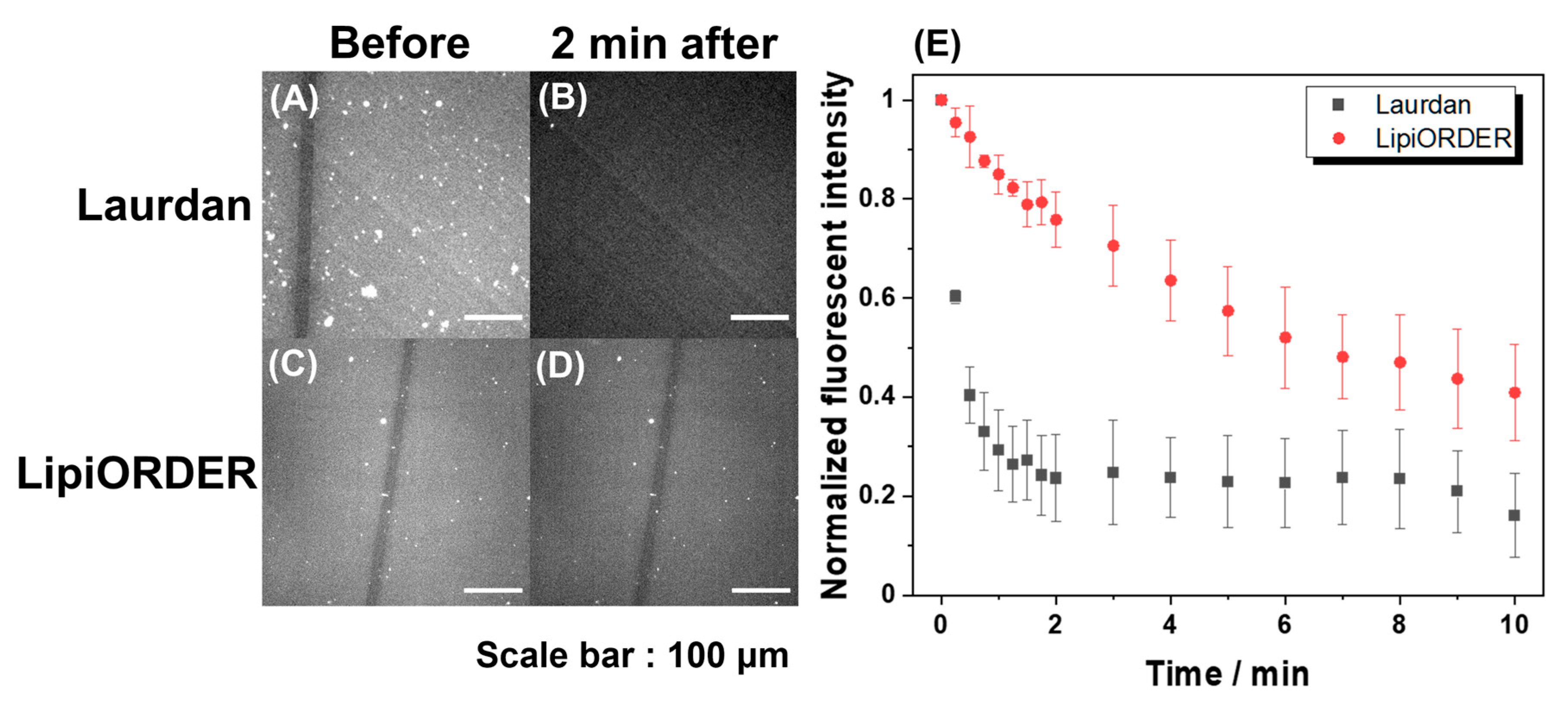 Membranes 12 00770 g003