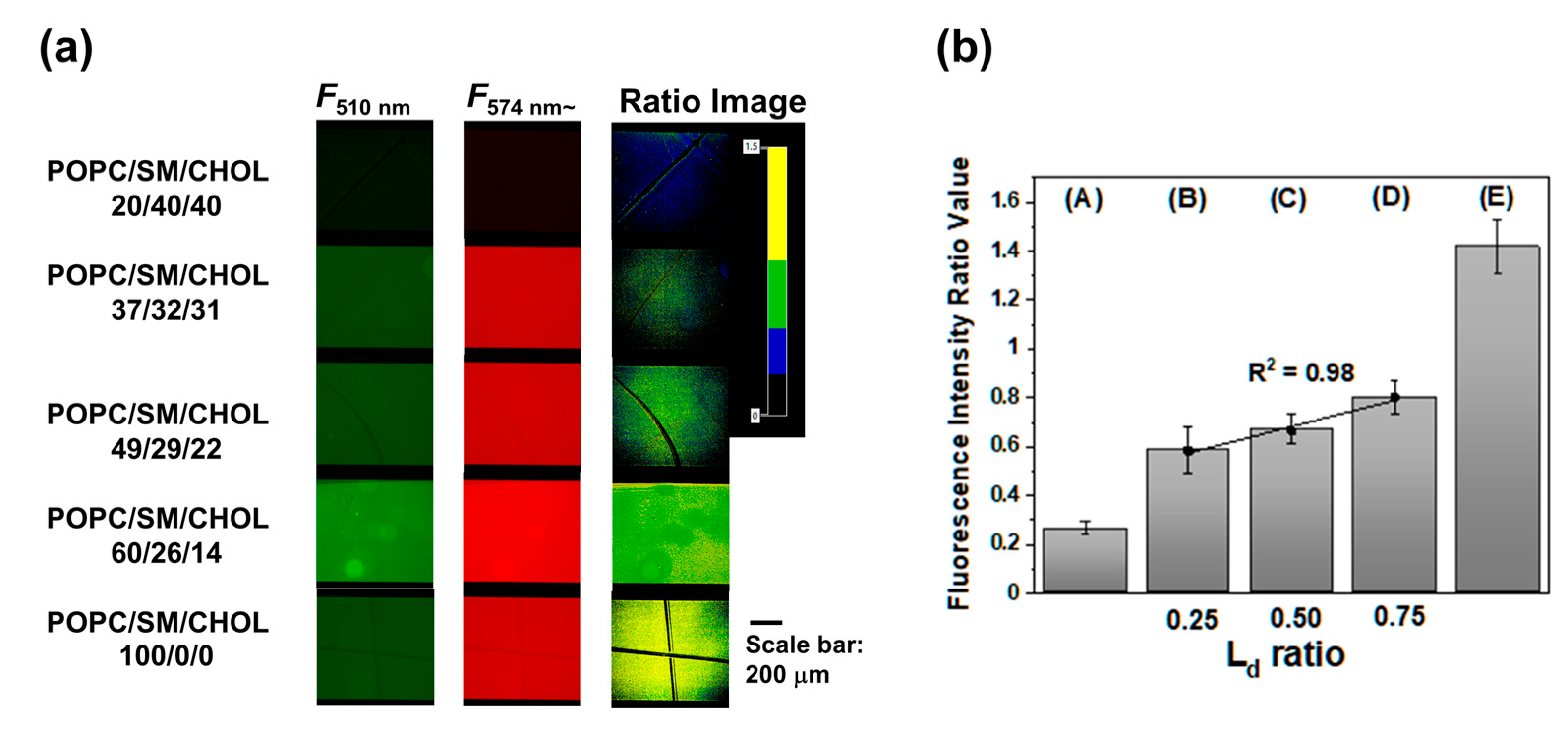 Membranes 12 00770 g004