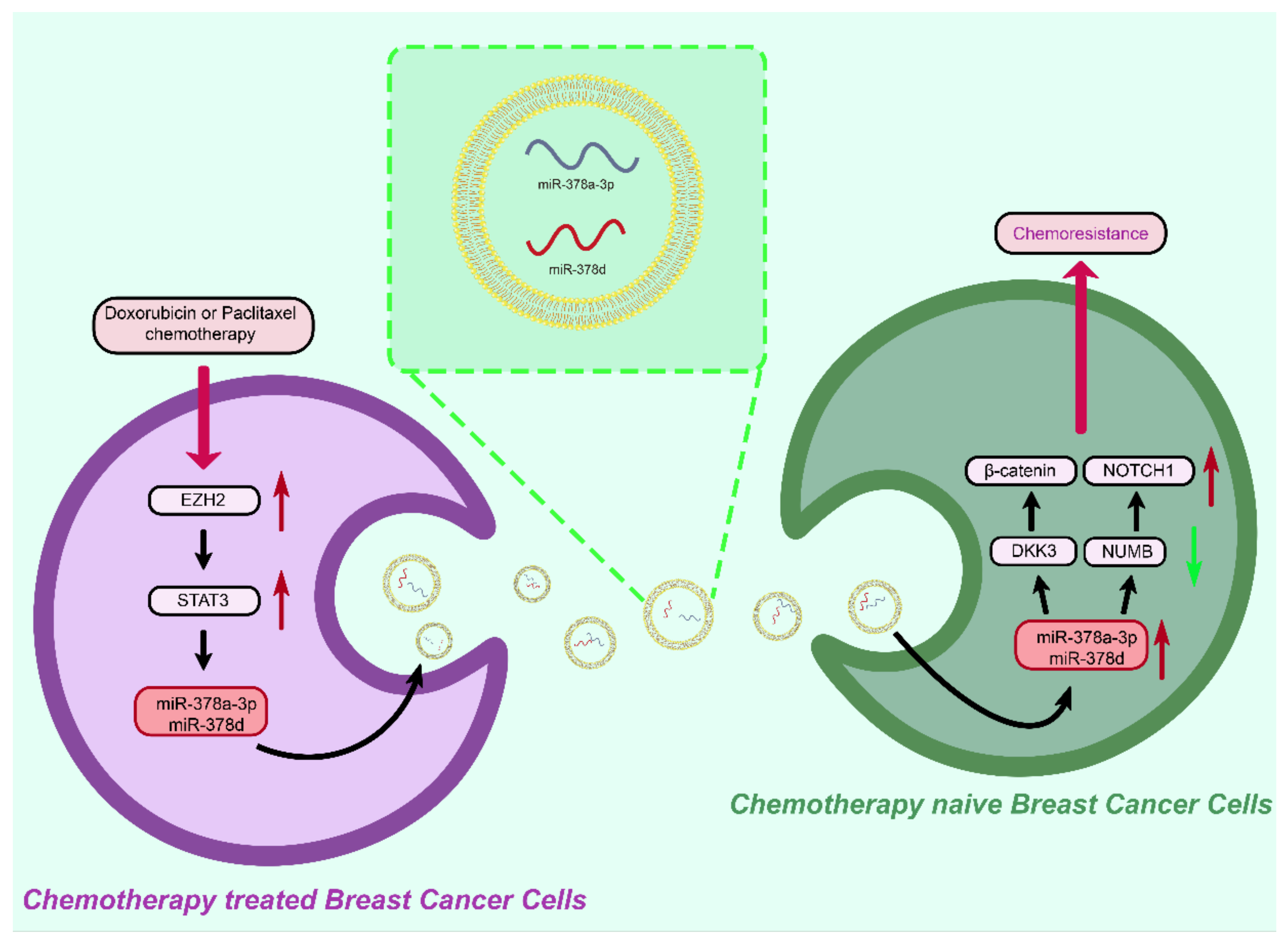 Membranes 12 00775 g002