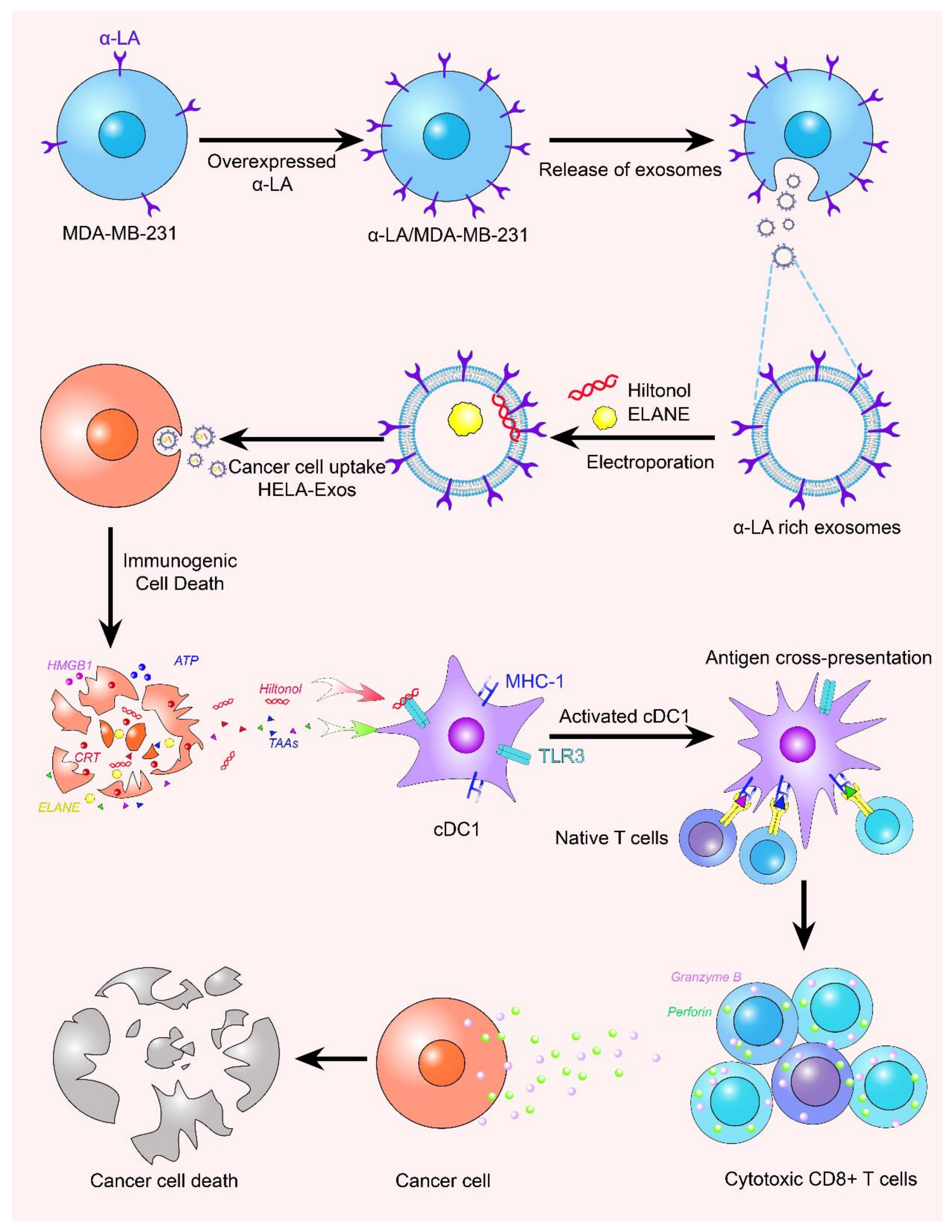 Membranes 12 00775 g003