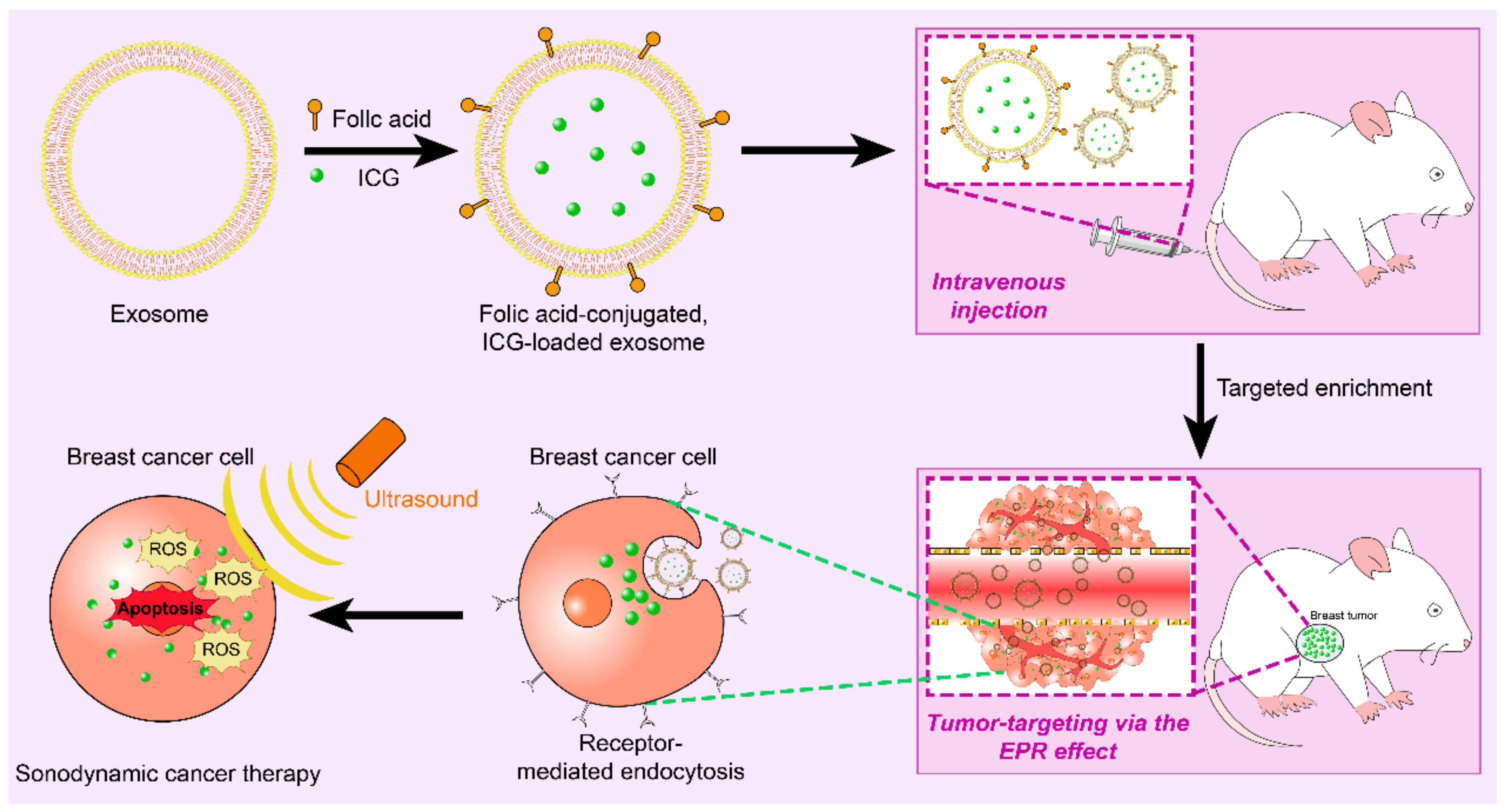 Membranes 12 00775 g004