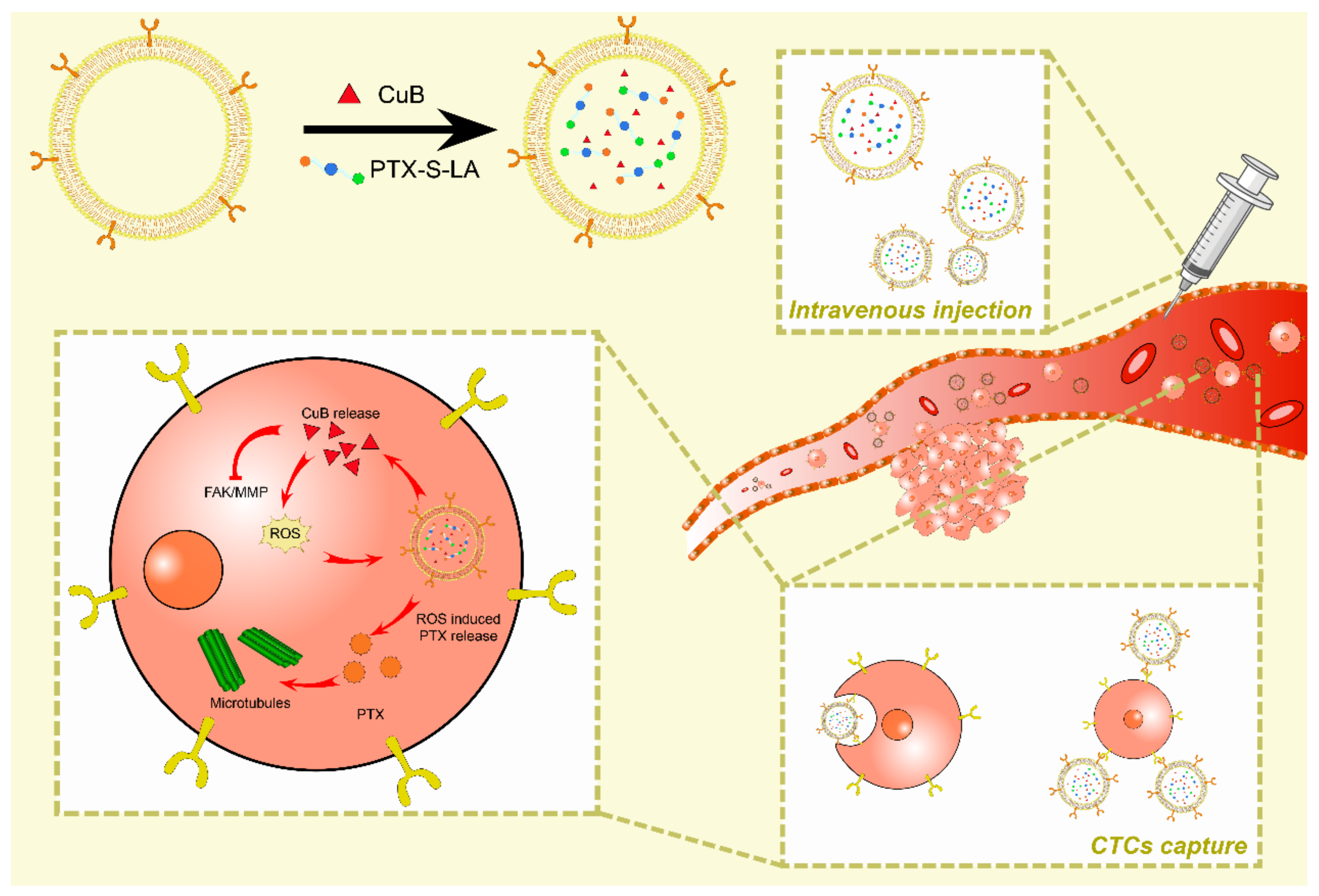 Membranes 12 00775 g005
