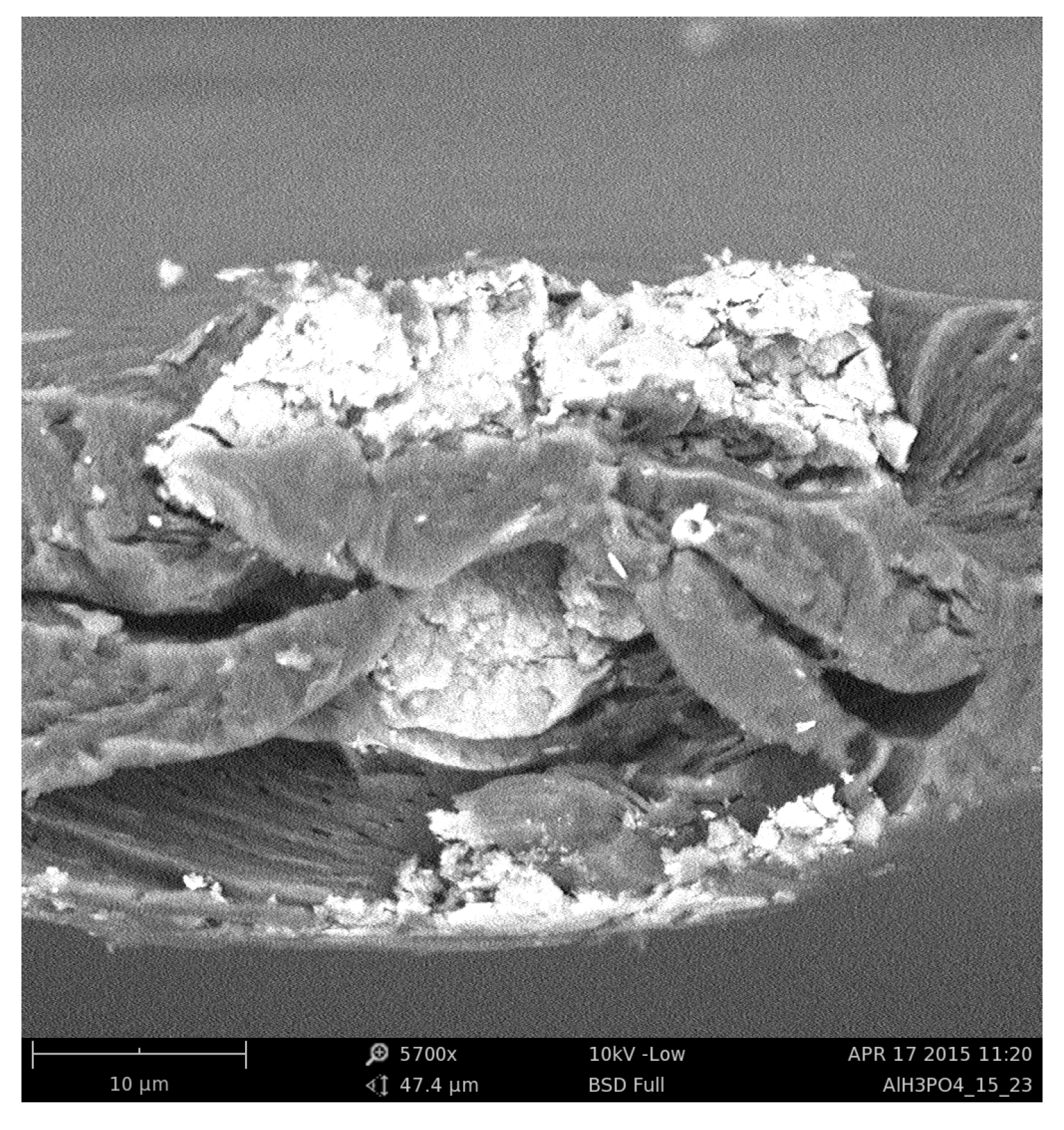 Membranes 12 00788 g001