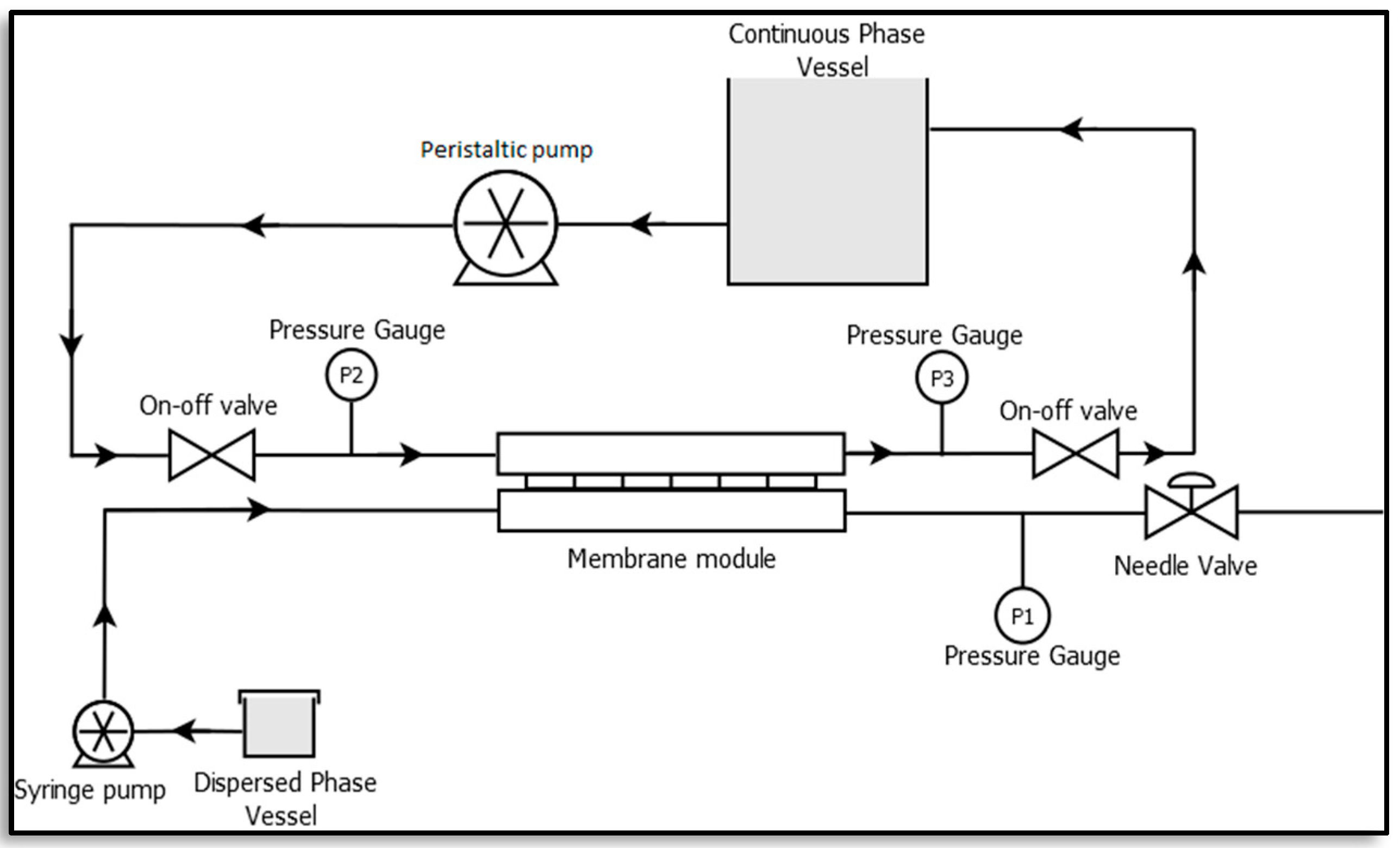 Membranes 12 00797 g003