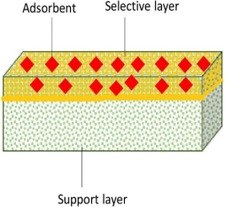 Membranes 12 00798 i002