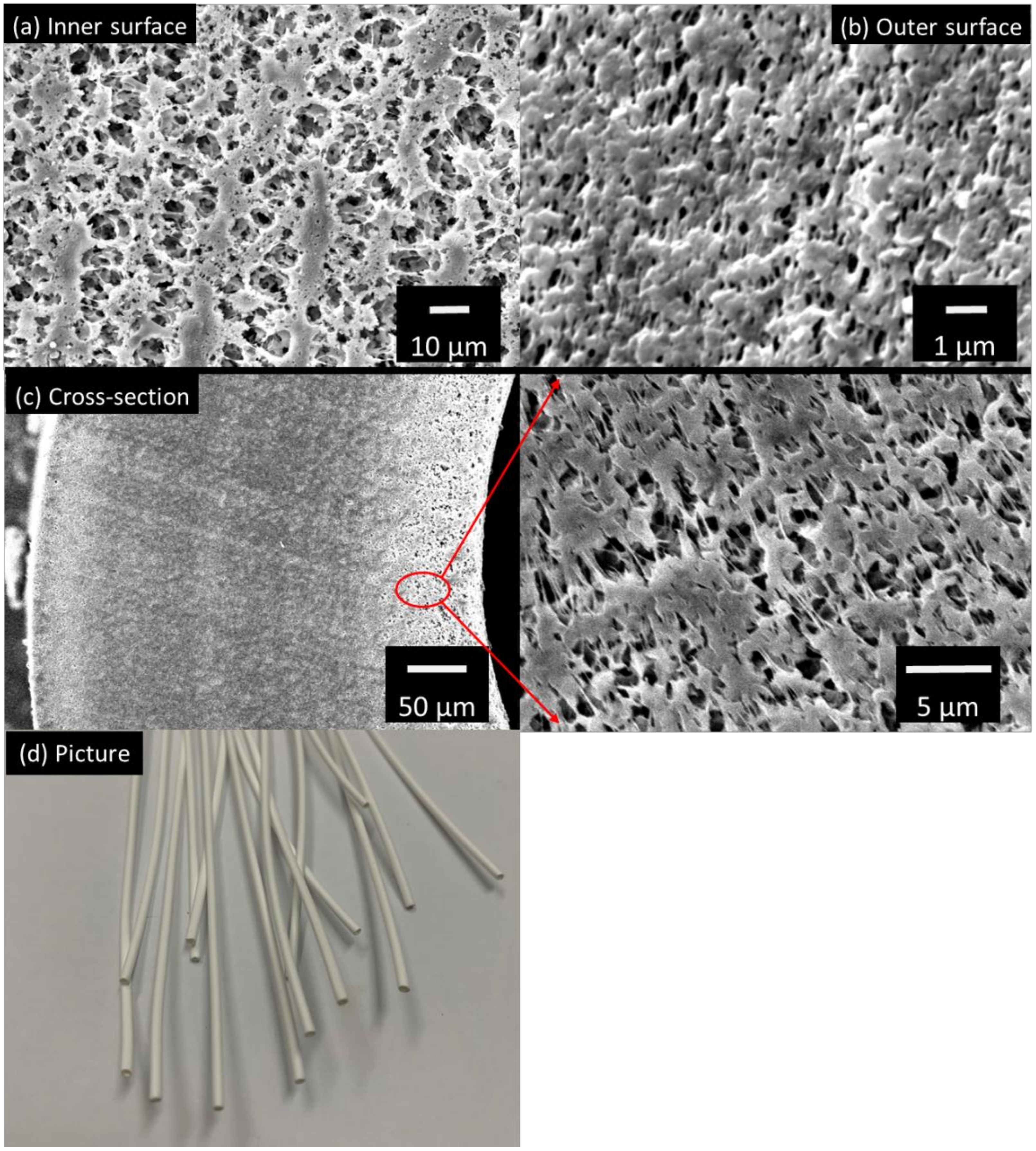 Membranes 12 00799 g002