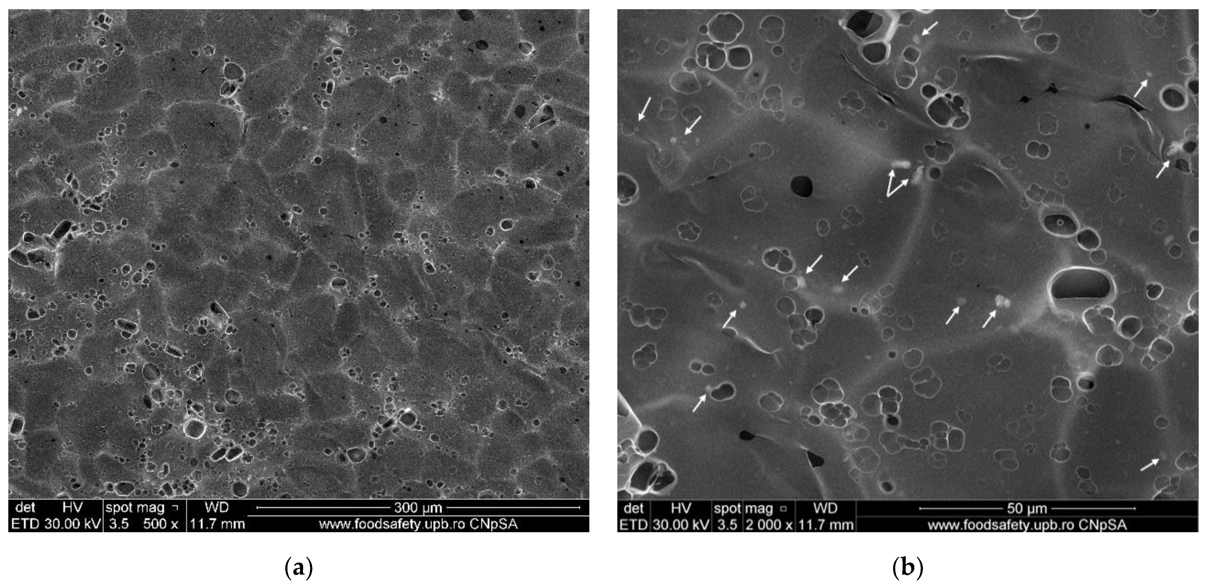 Membranes 12 00804 g010a
