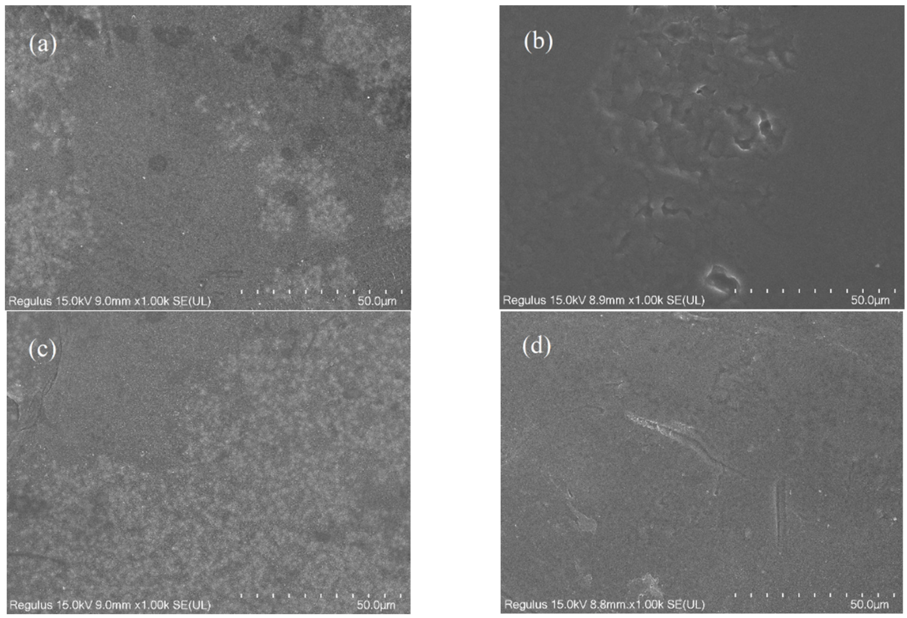 Membranes 12 00808 g003