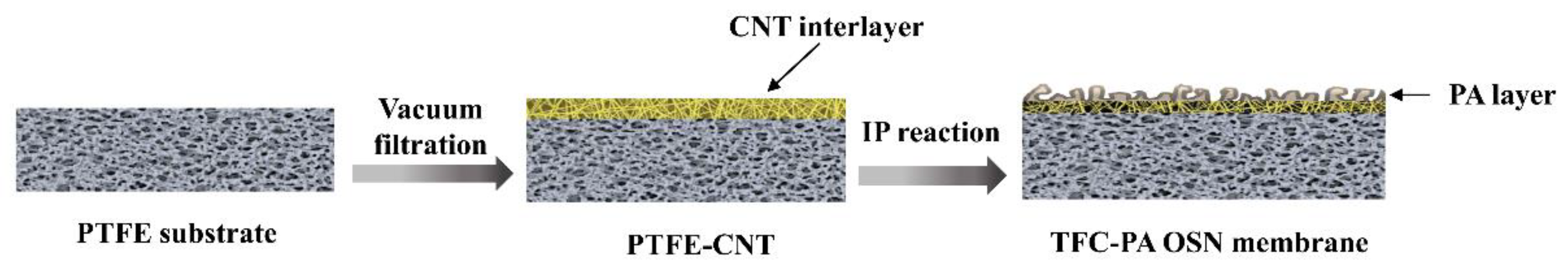 Membranes 12 00817 g001