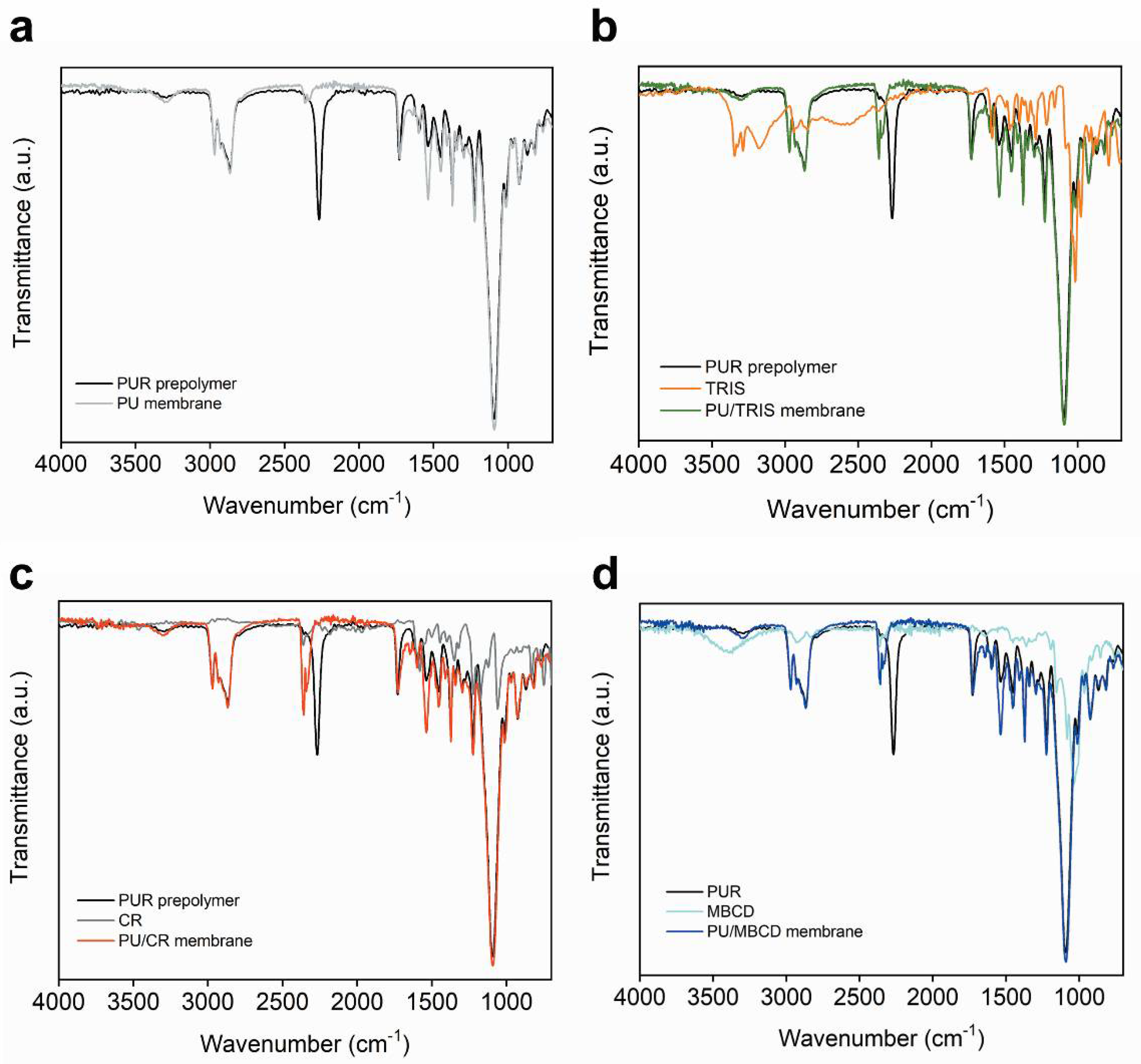 Membranes 12 00826 g004