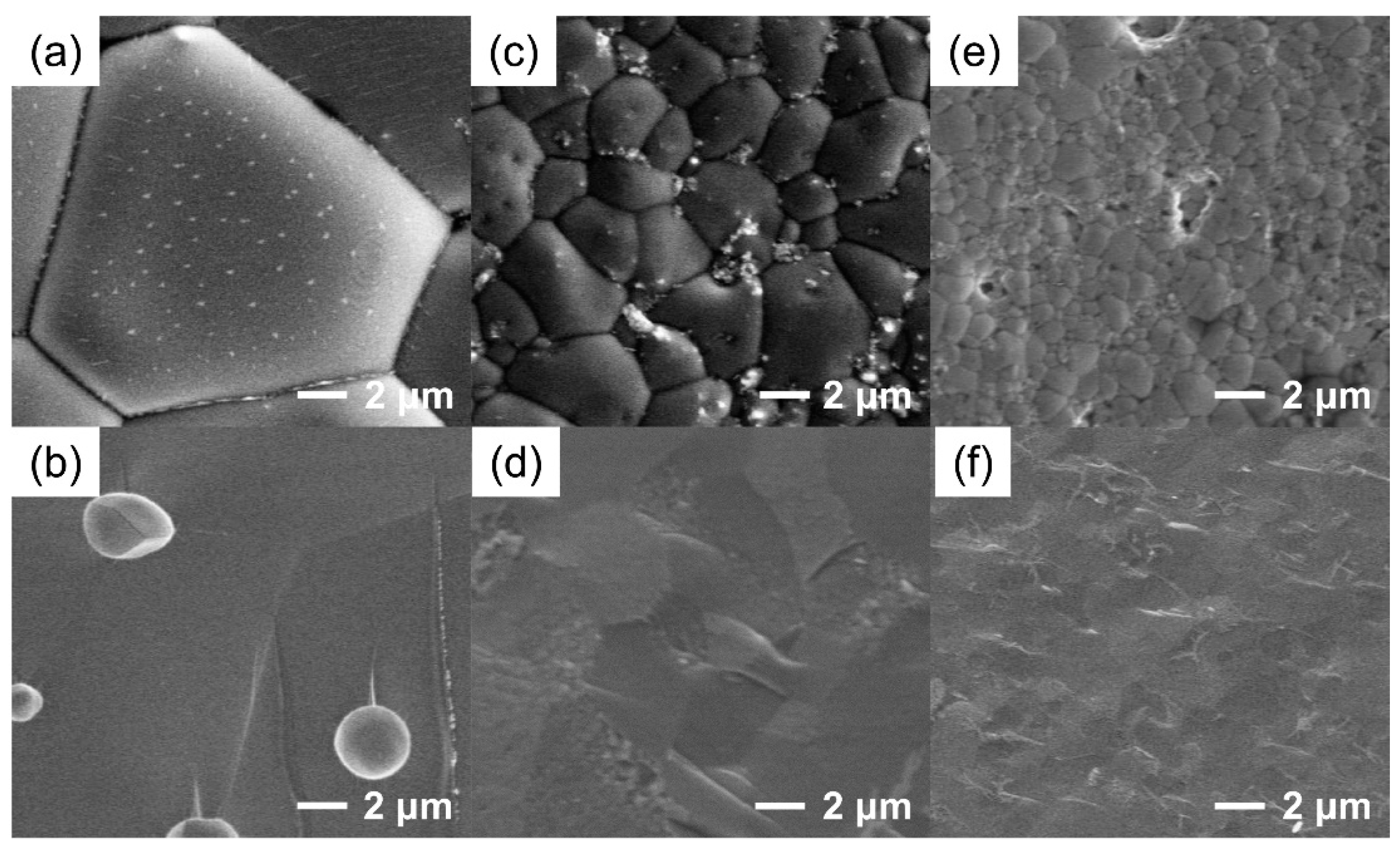 Membranes 12 00831 g002 Membranes 12 00831 g002
