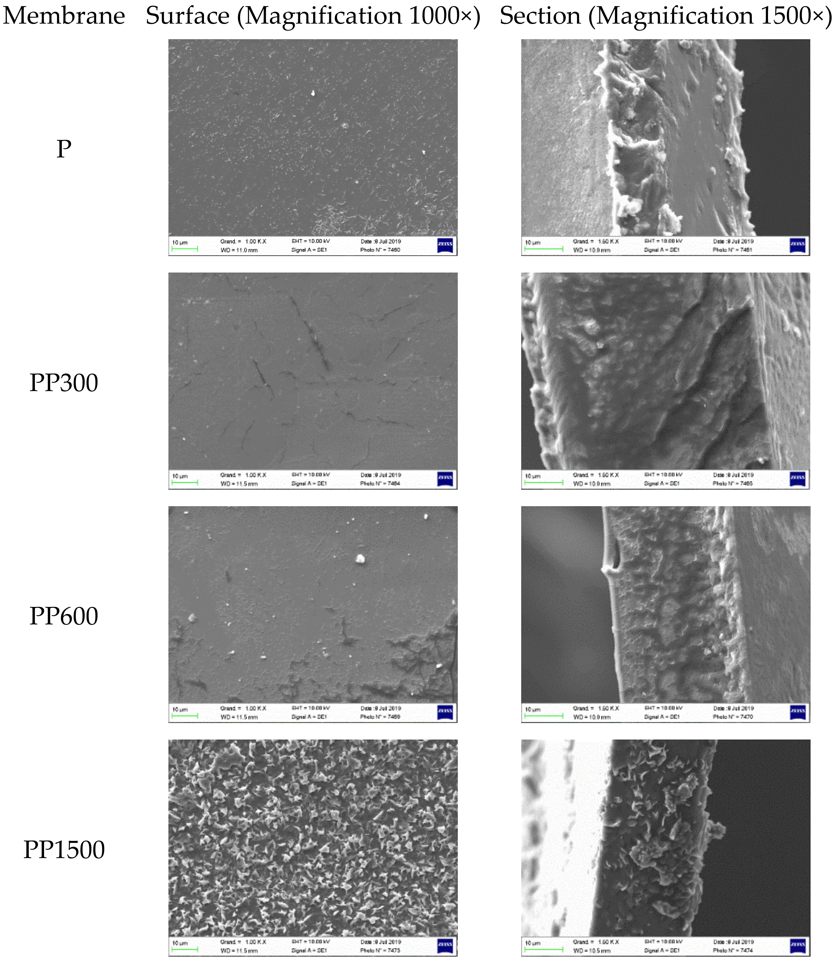 Membranes 12 00836 g001