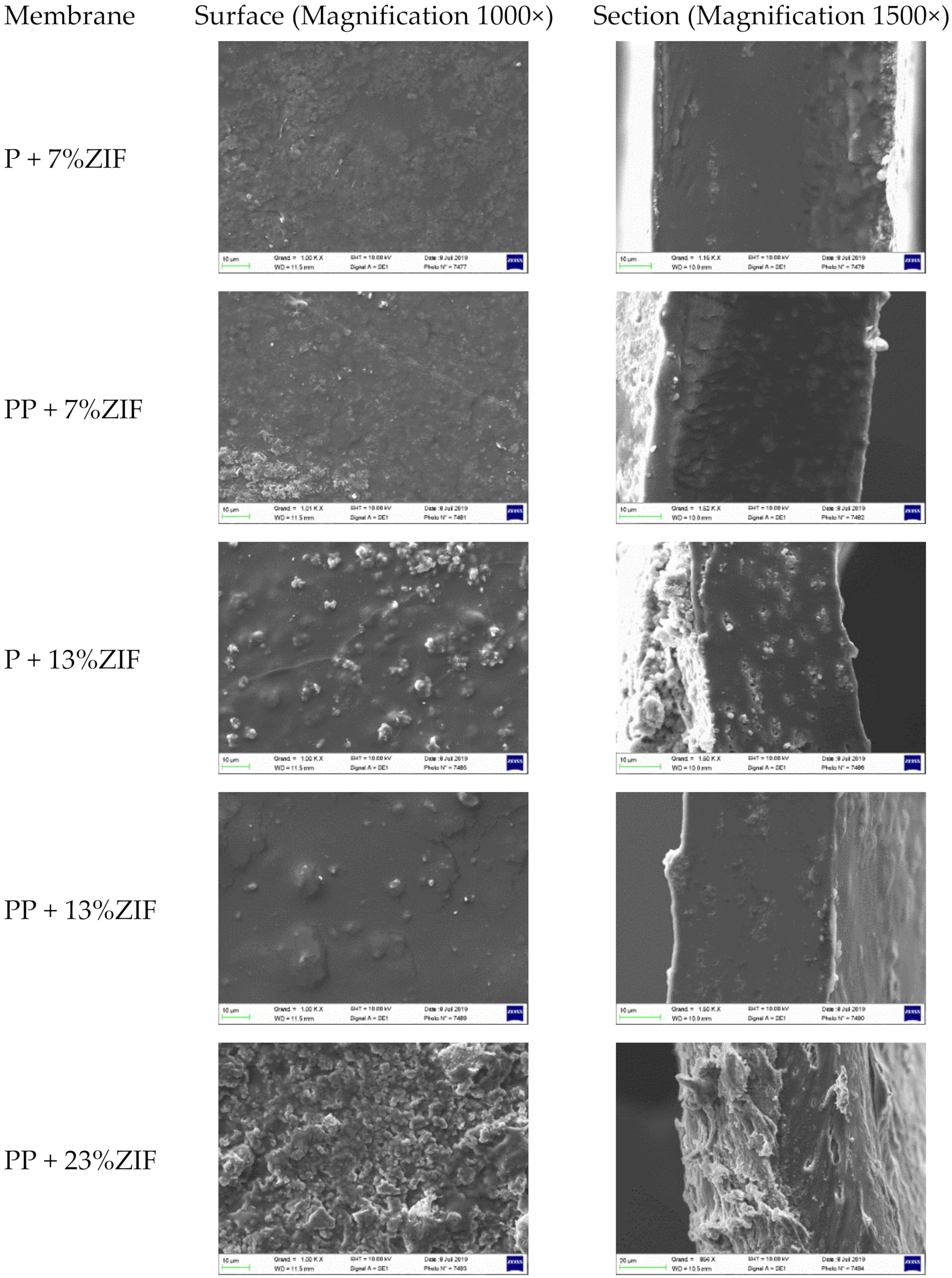 Membranes 12 00836 g005