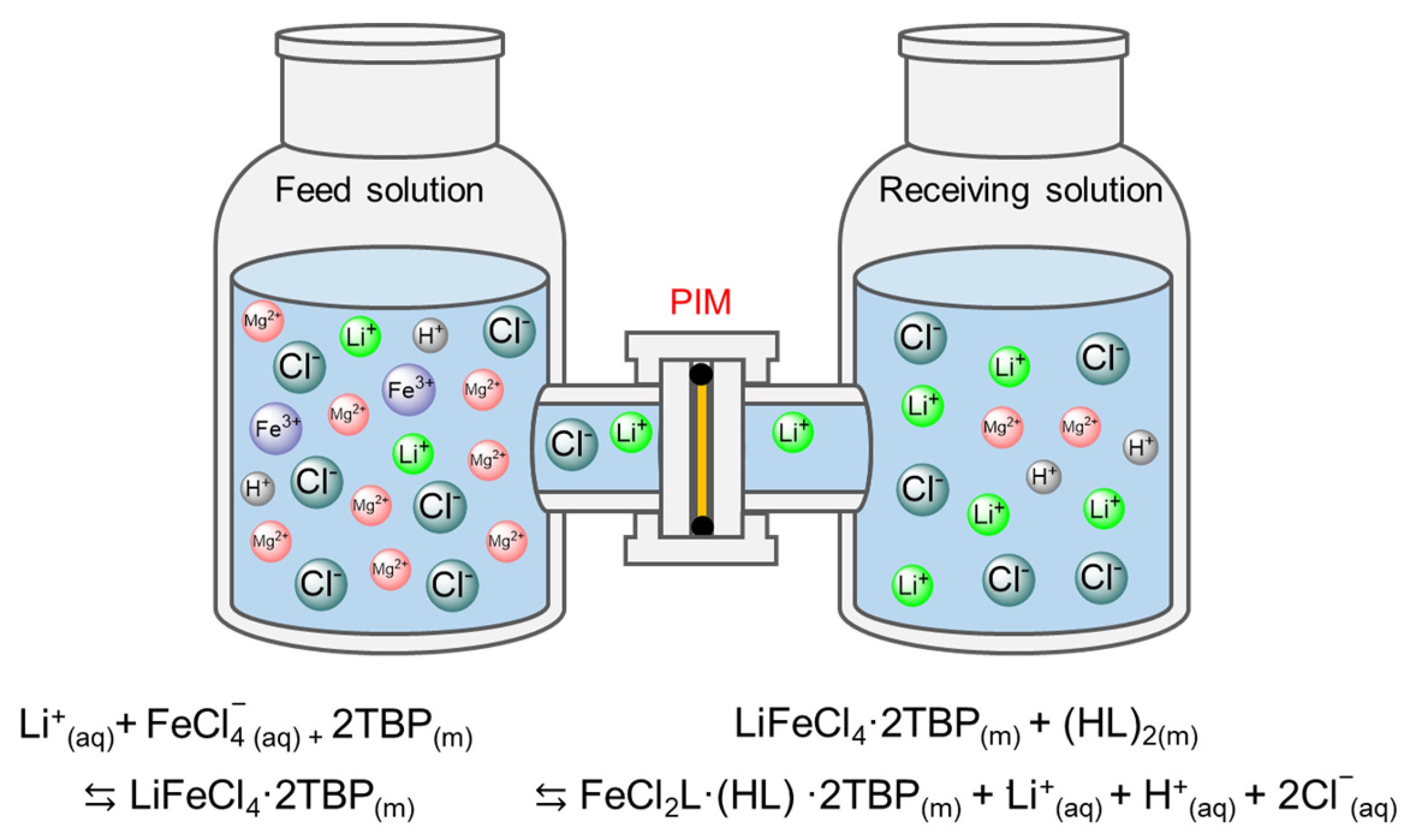 Membranes 12 00839 g002