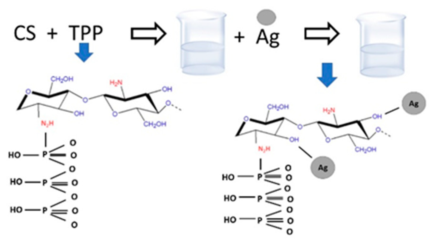 Membranes 12 00851 g001