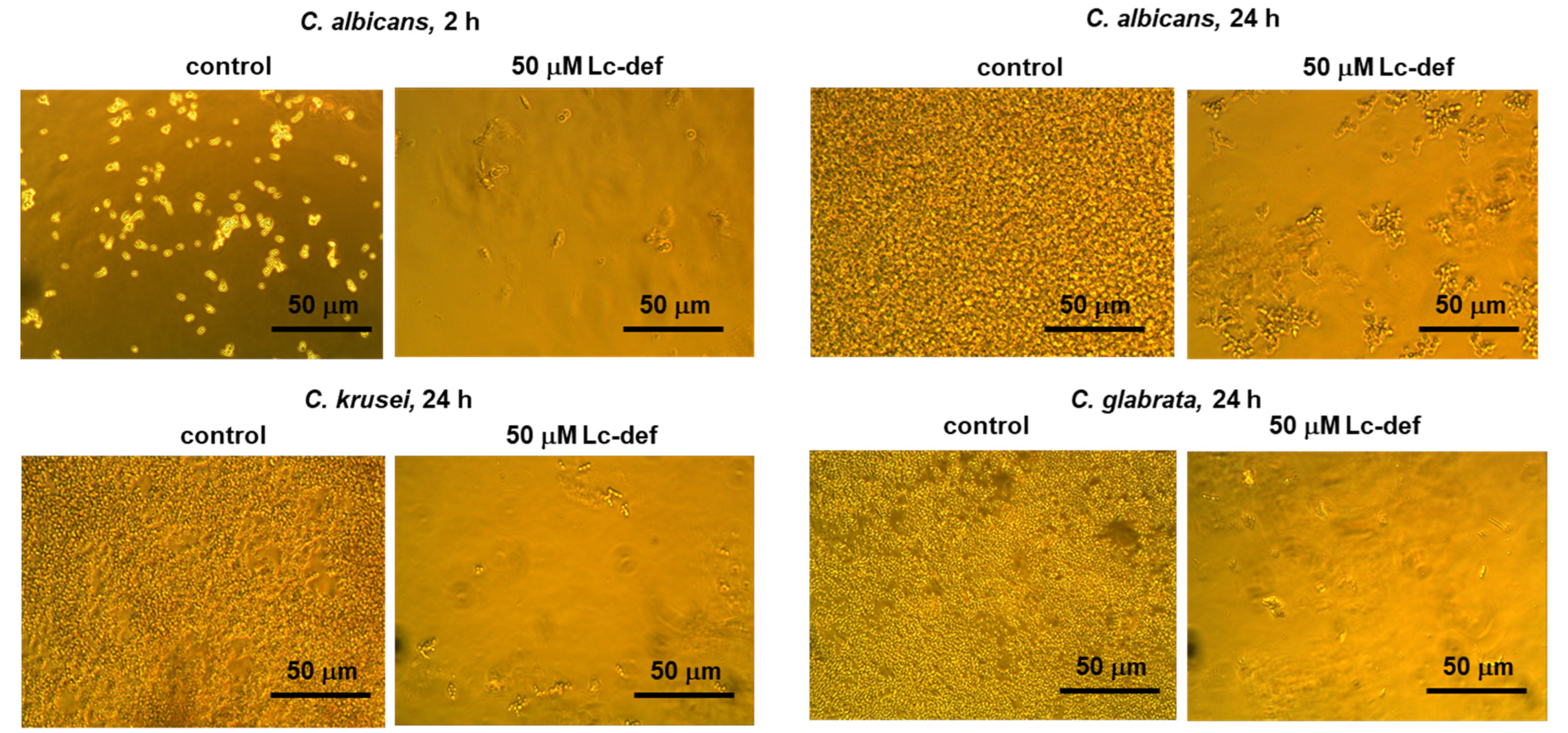Membranes 12 00855 g002