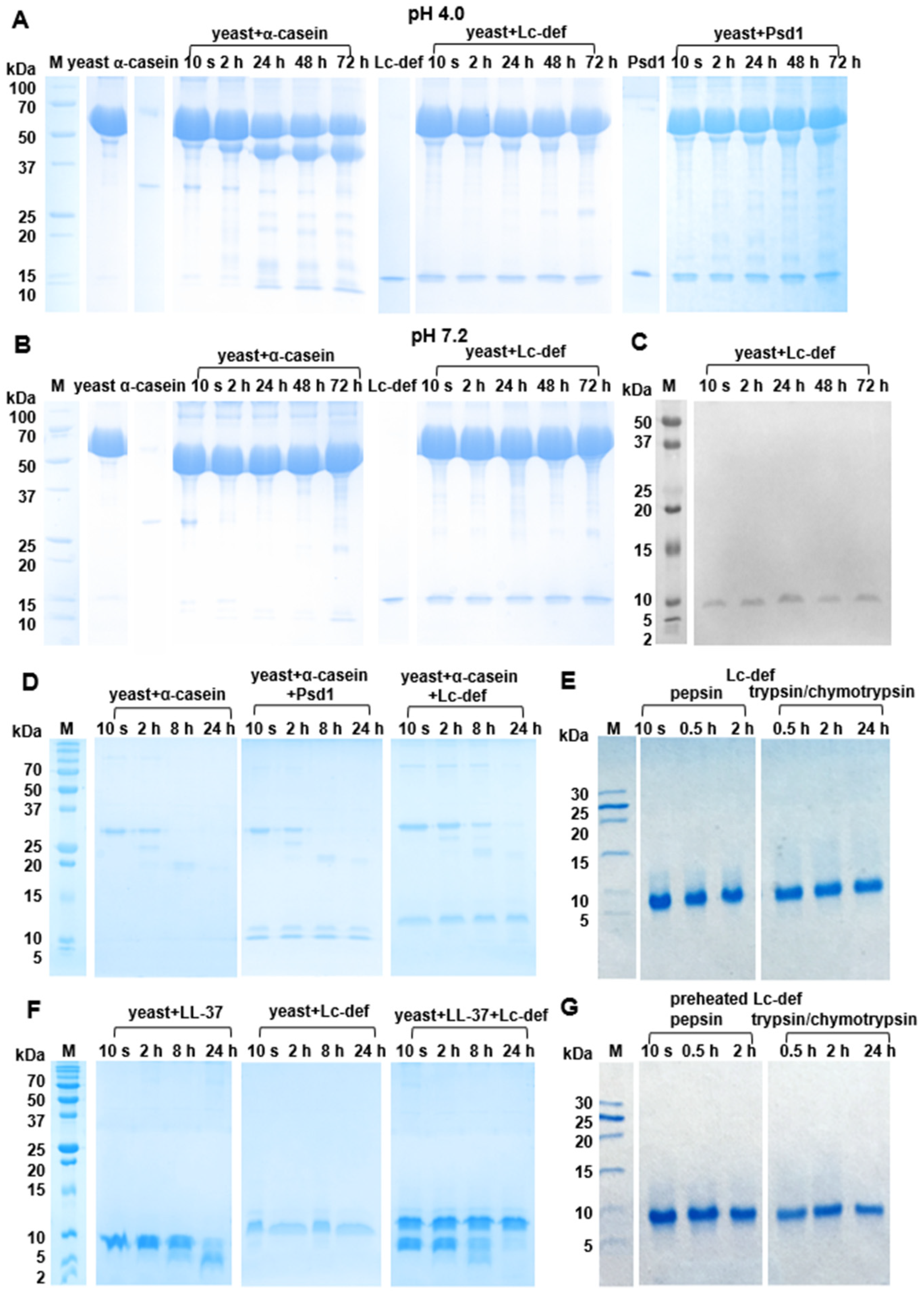 Membranes 12 00855 g004