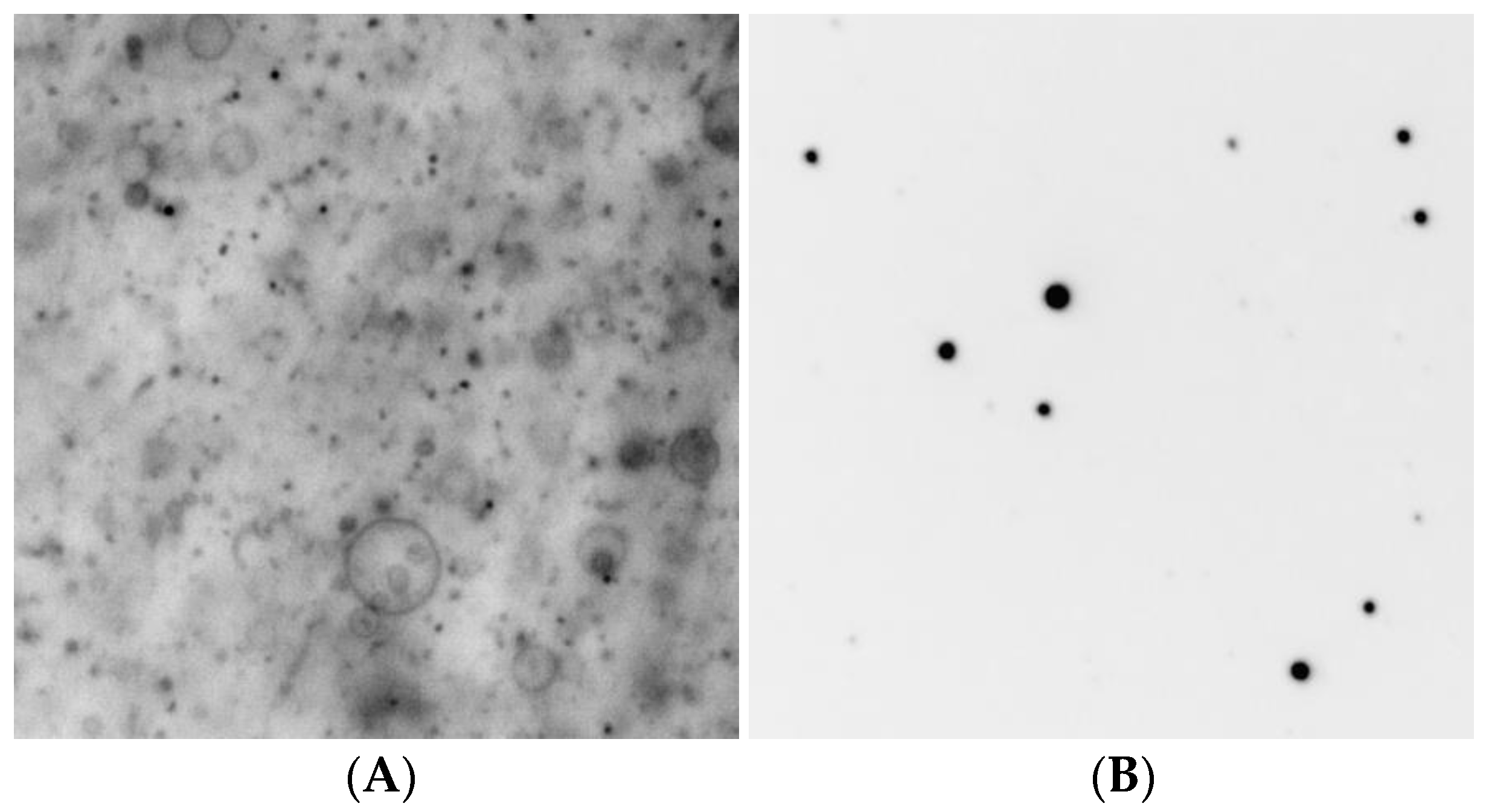 Membranes 12 00858 g001