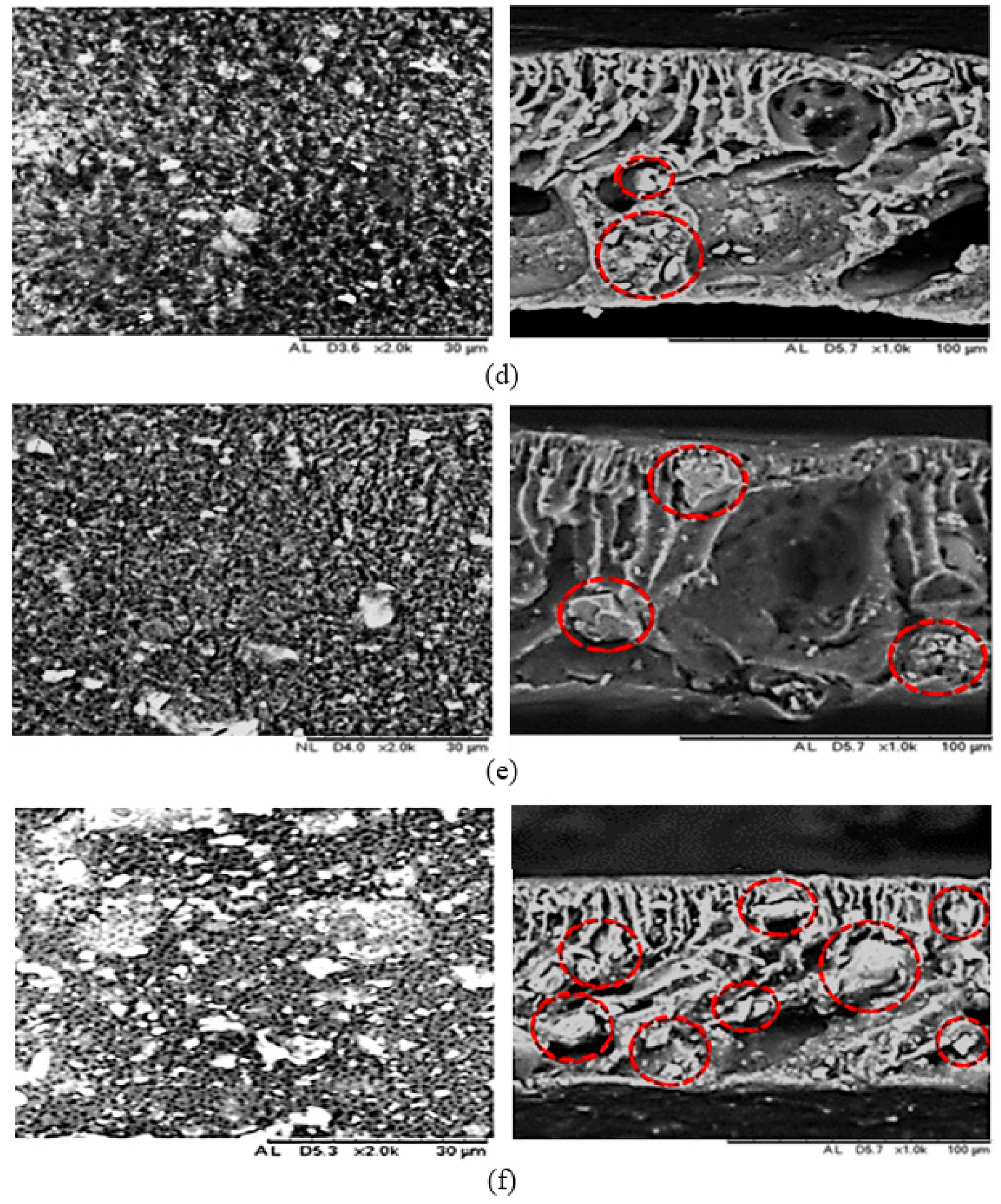Membranes 12 00860 g002b Membranes 12 00860 g002b
