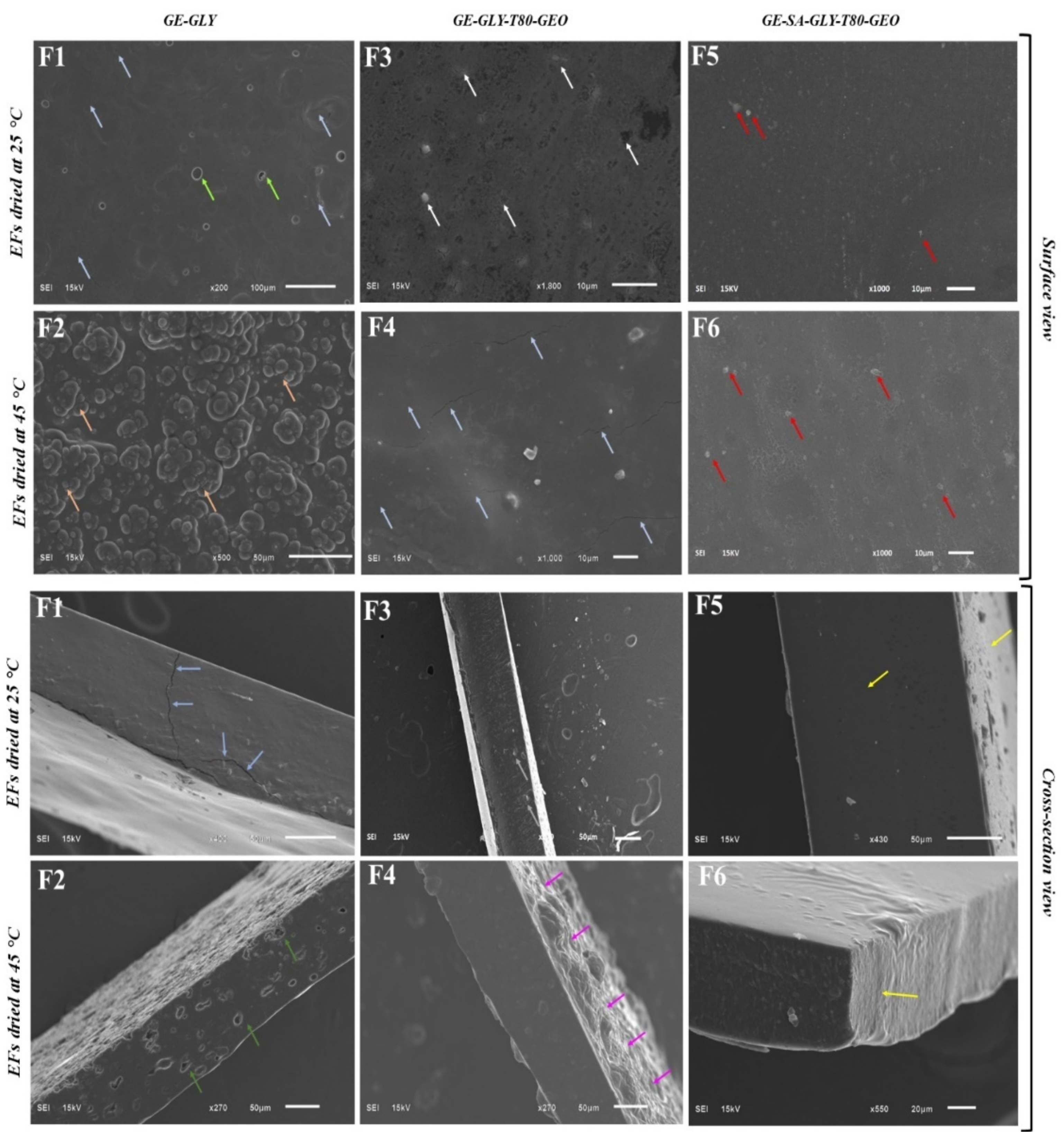 Membranes 12 00862 g001
