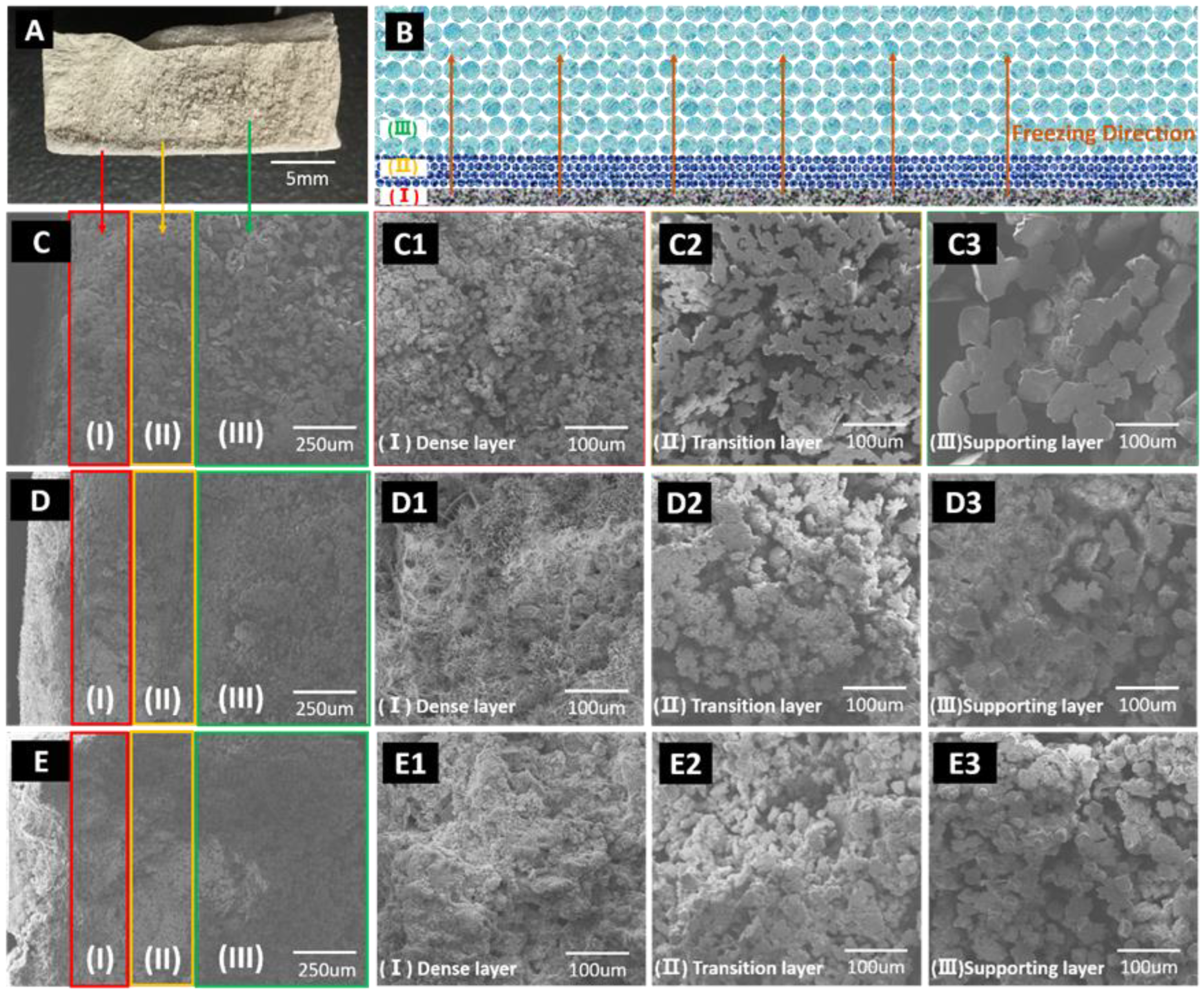 Membranes 12 00867 g002