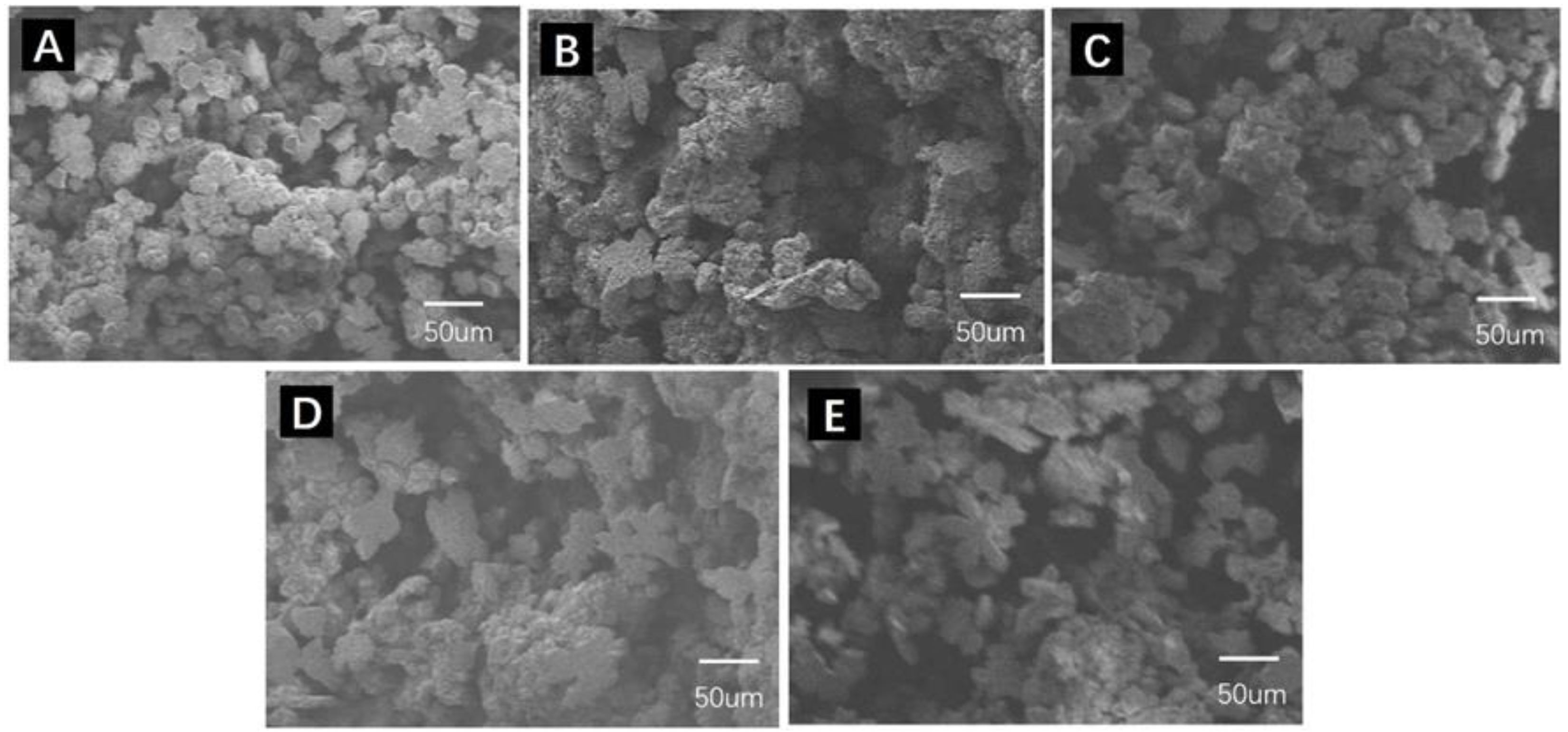 Membranes 12 00867 g003