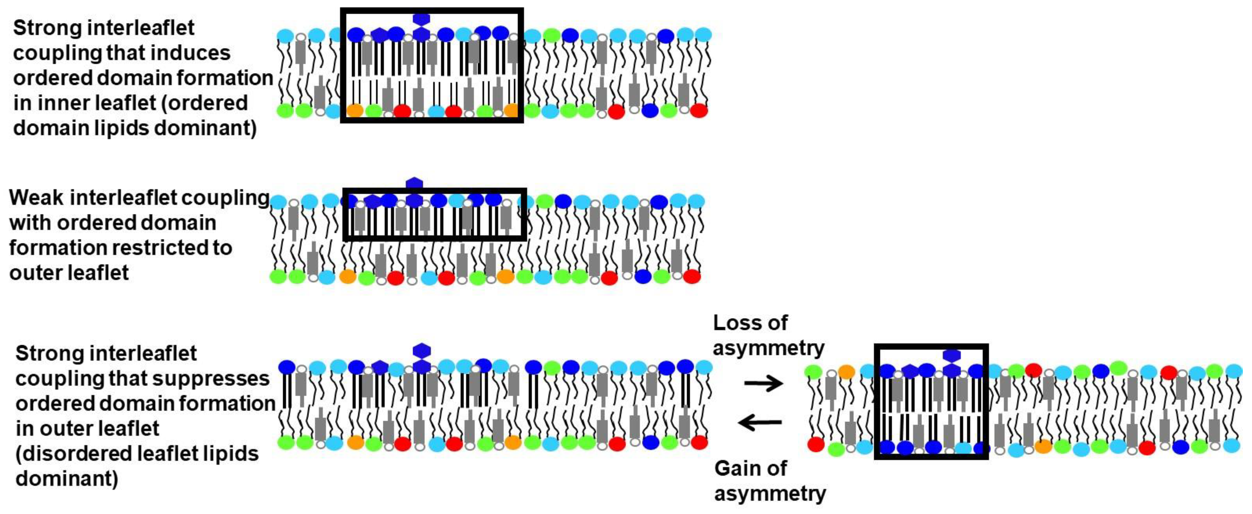 Membranes 12 00870 g001
