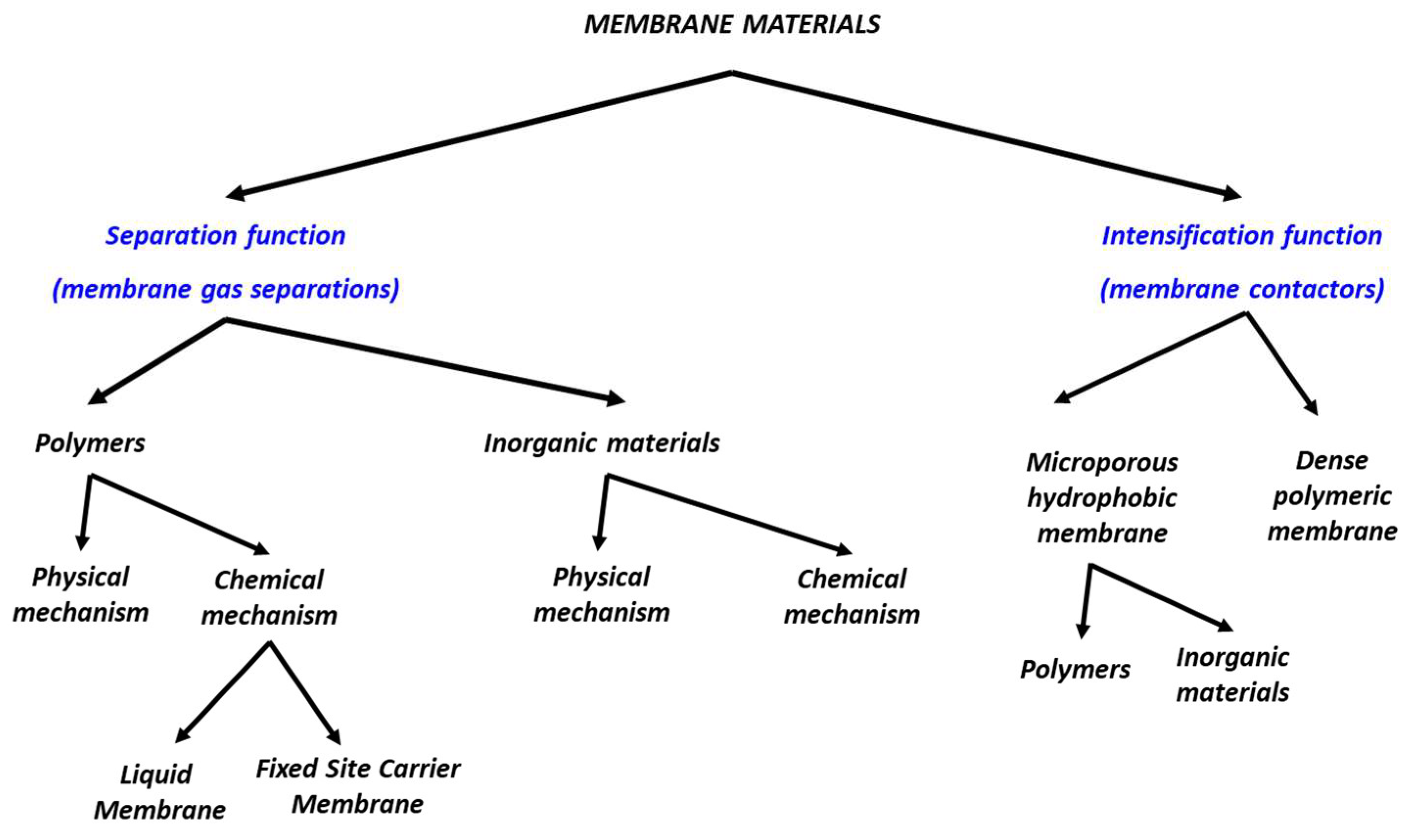 Membranes 12 00884 g002